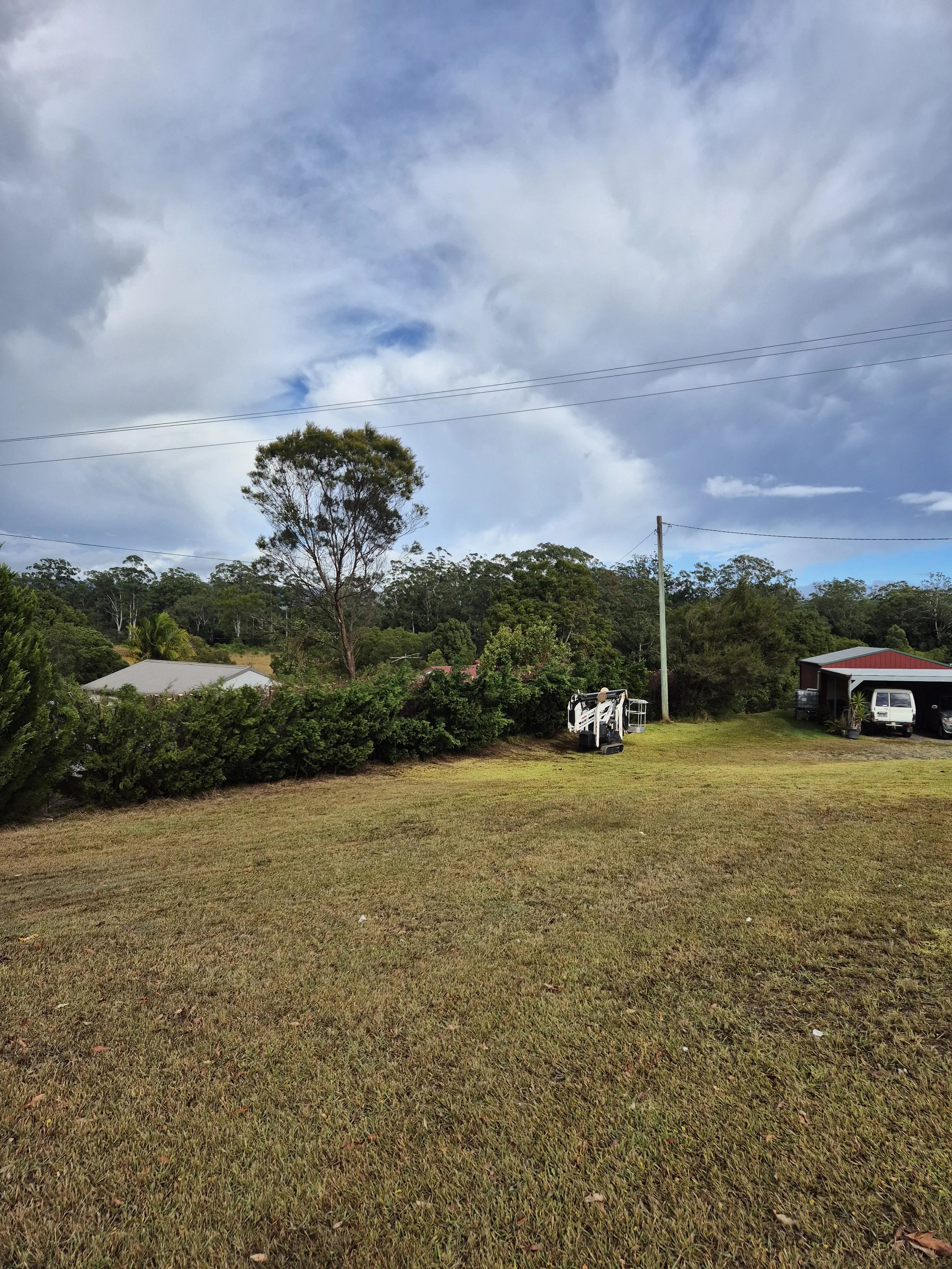 Large Hedge Removal &amp; Reduction – Nana Glen