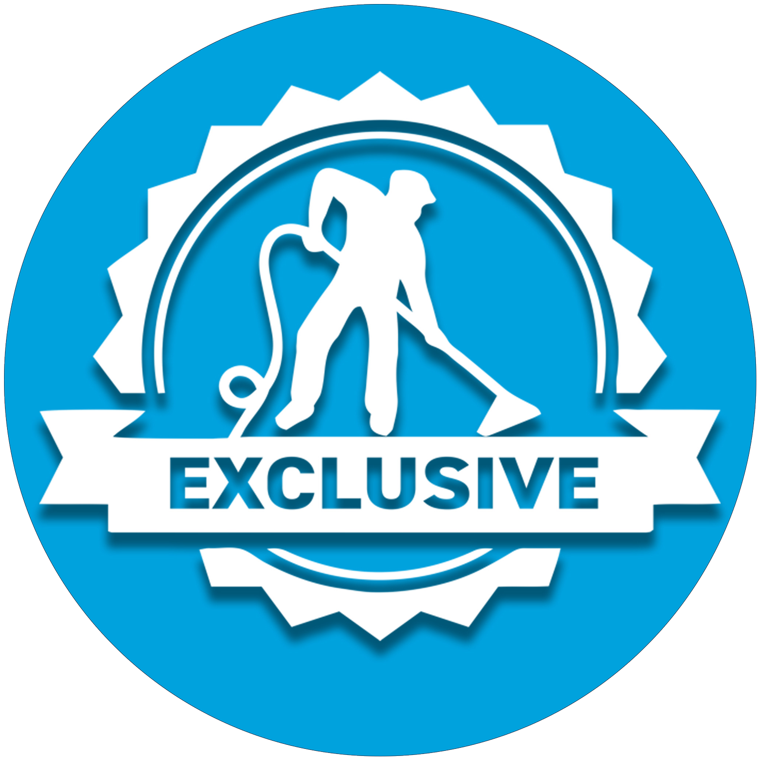 My Exclusive  Carpet Cleaning