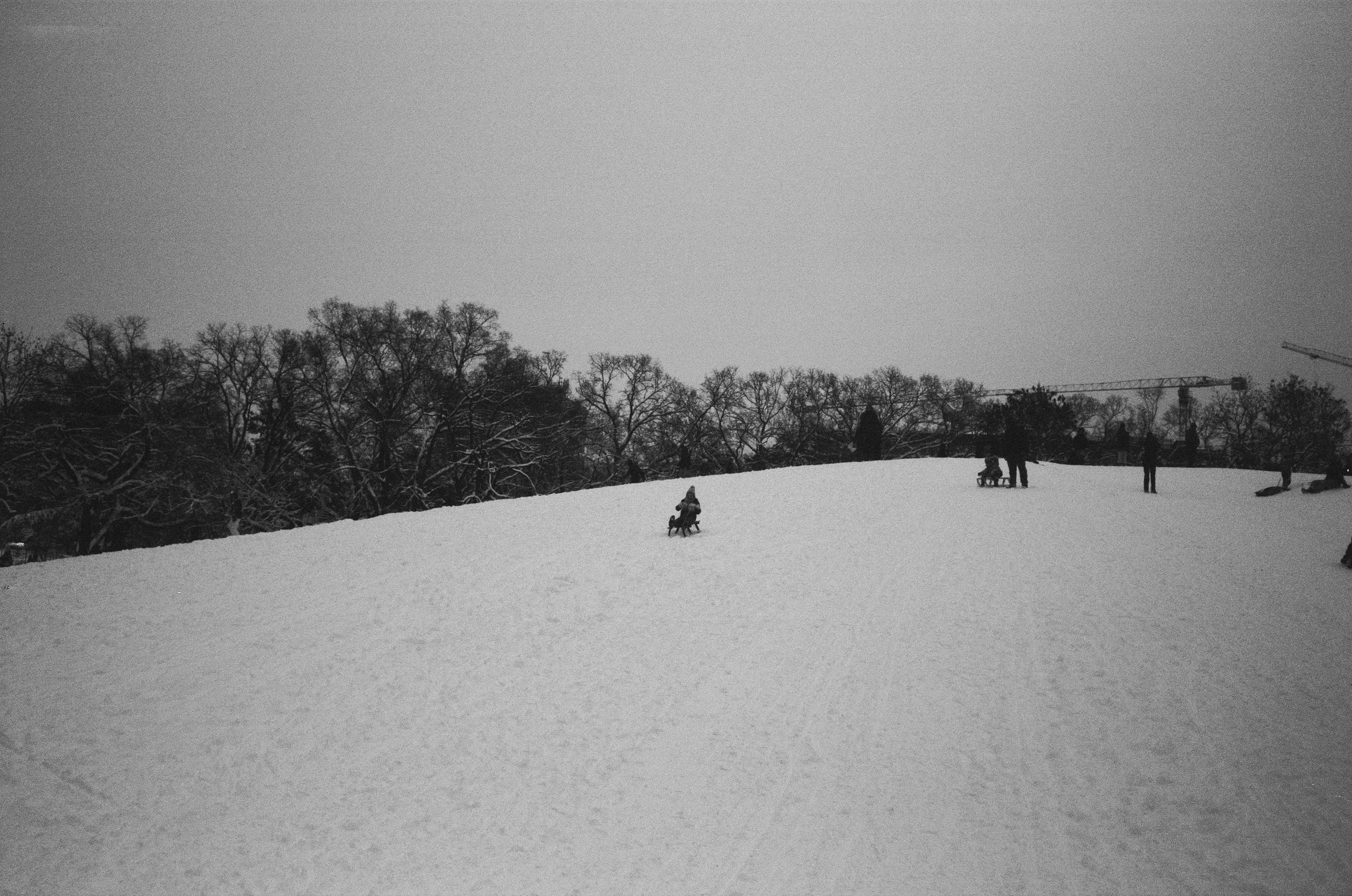 Bleeding Out For A Sense Of Purpose