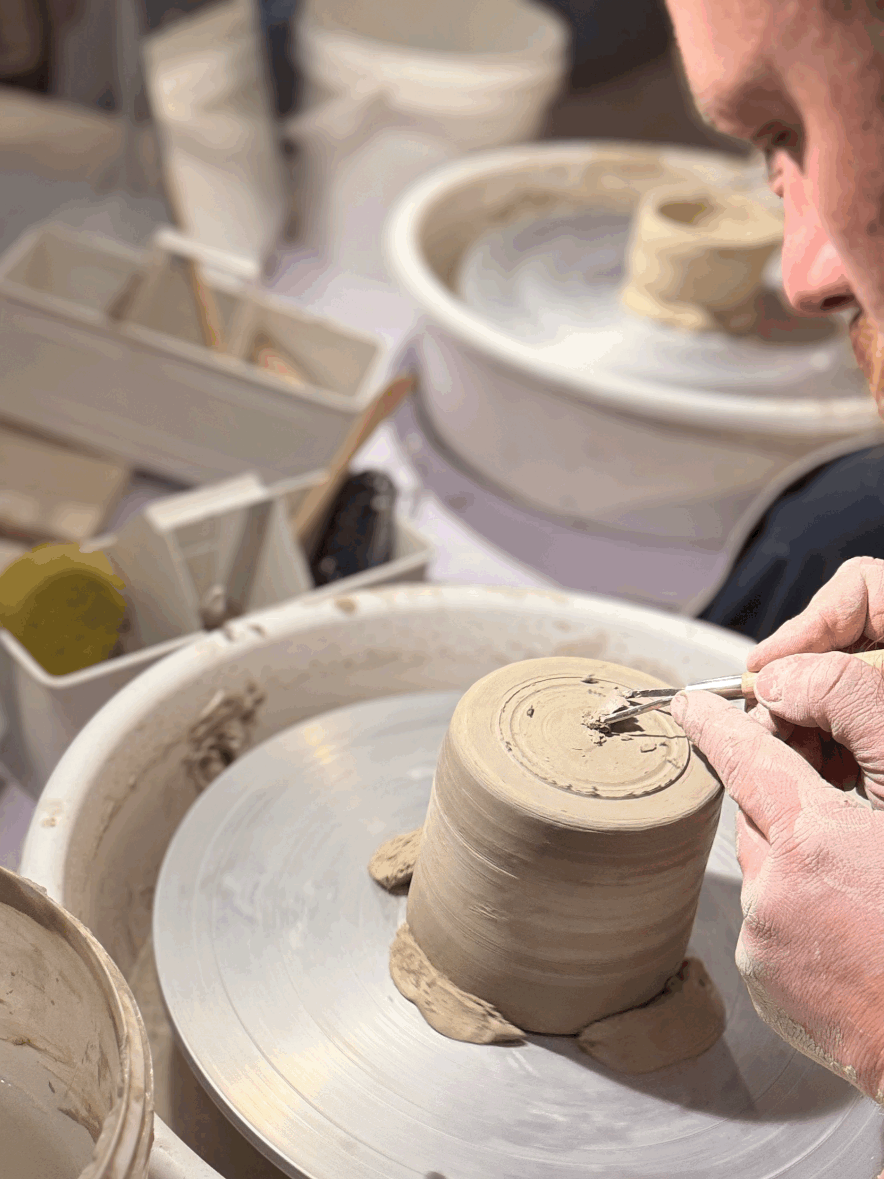 1 Tages Kurse mit Lissy