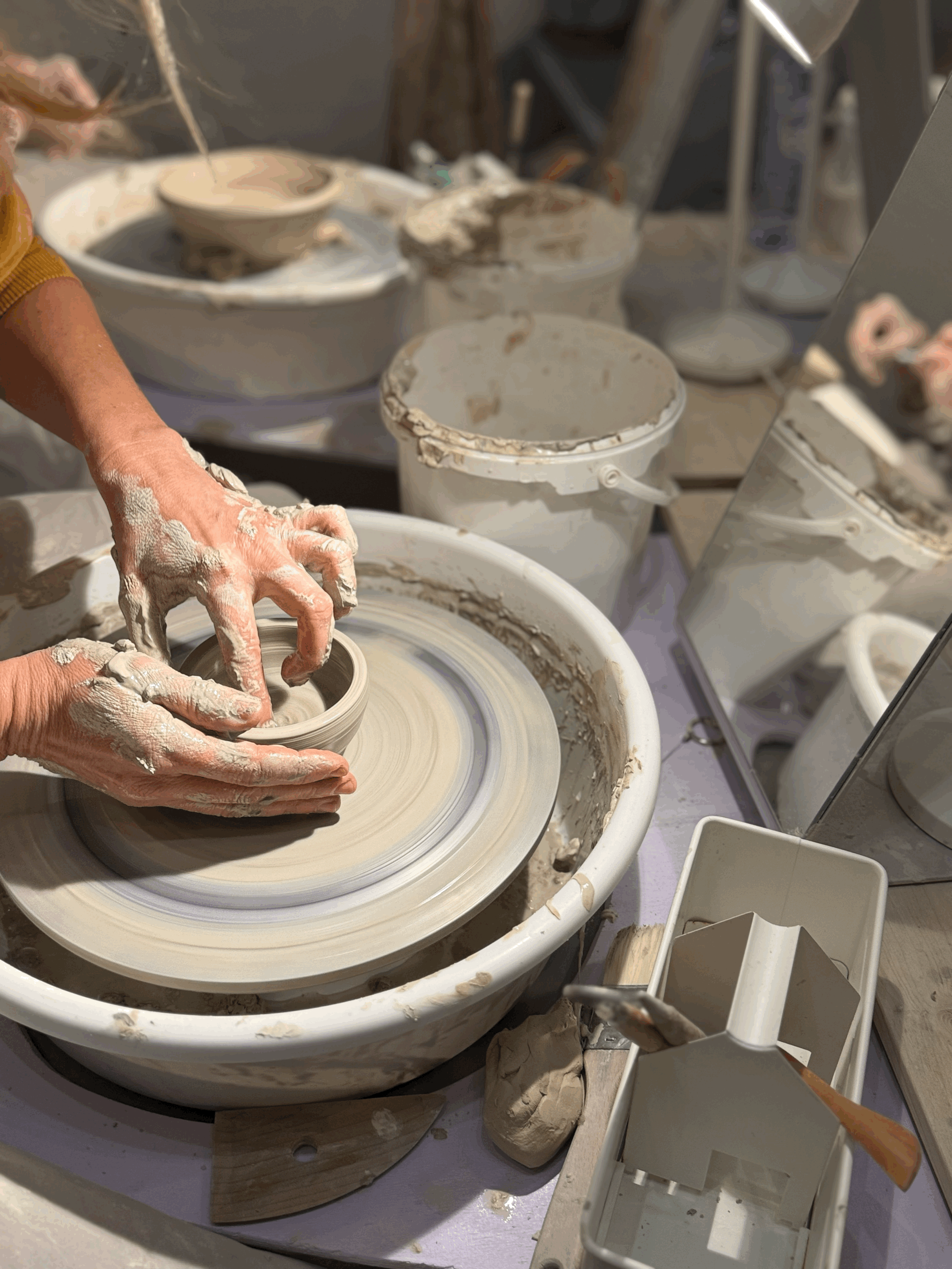 Basic Kurse mit Aeva