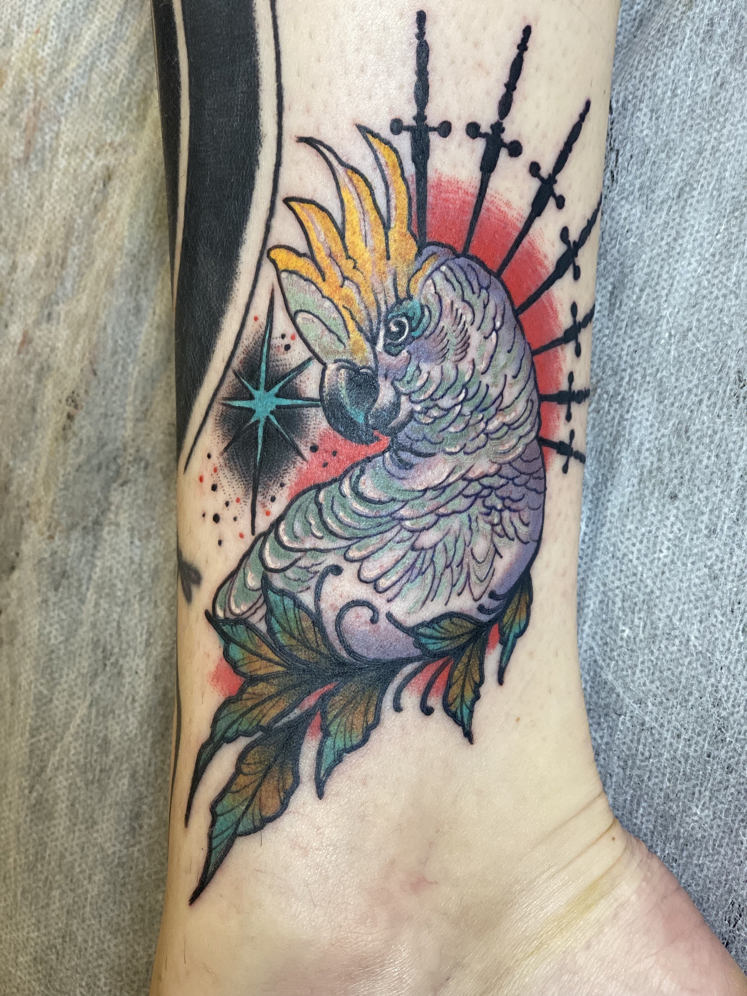 Colorful tattoo of a parrot with a hoop and four swords, with black outlines and shading on a person's arm.