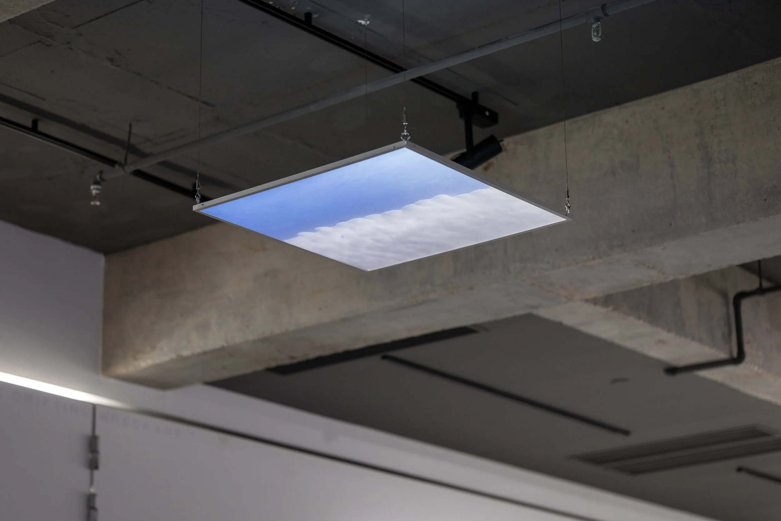 9036D3F9-A35D-4F75-9202-AB9E6111A233_1_201_a.jpeg