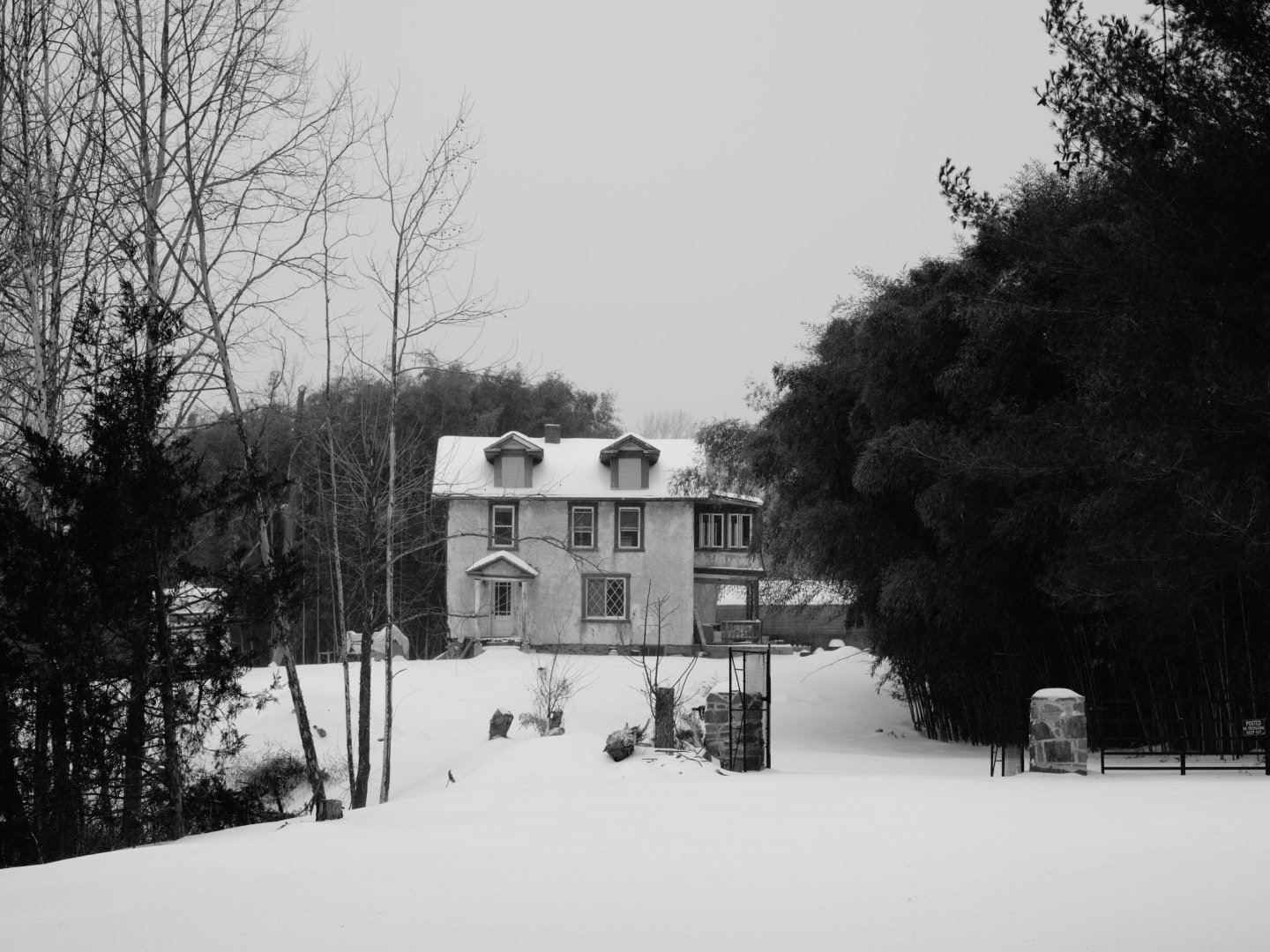 _DSC3156.jpeg