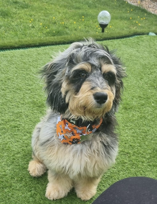charlie.JPG