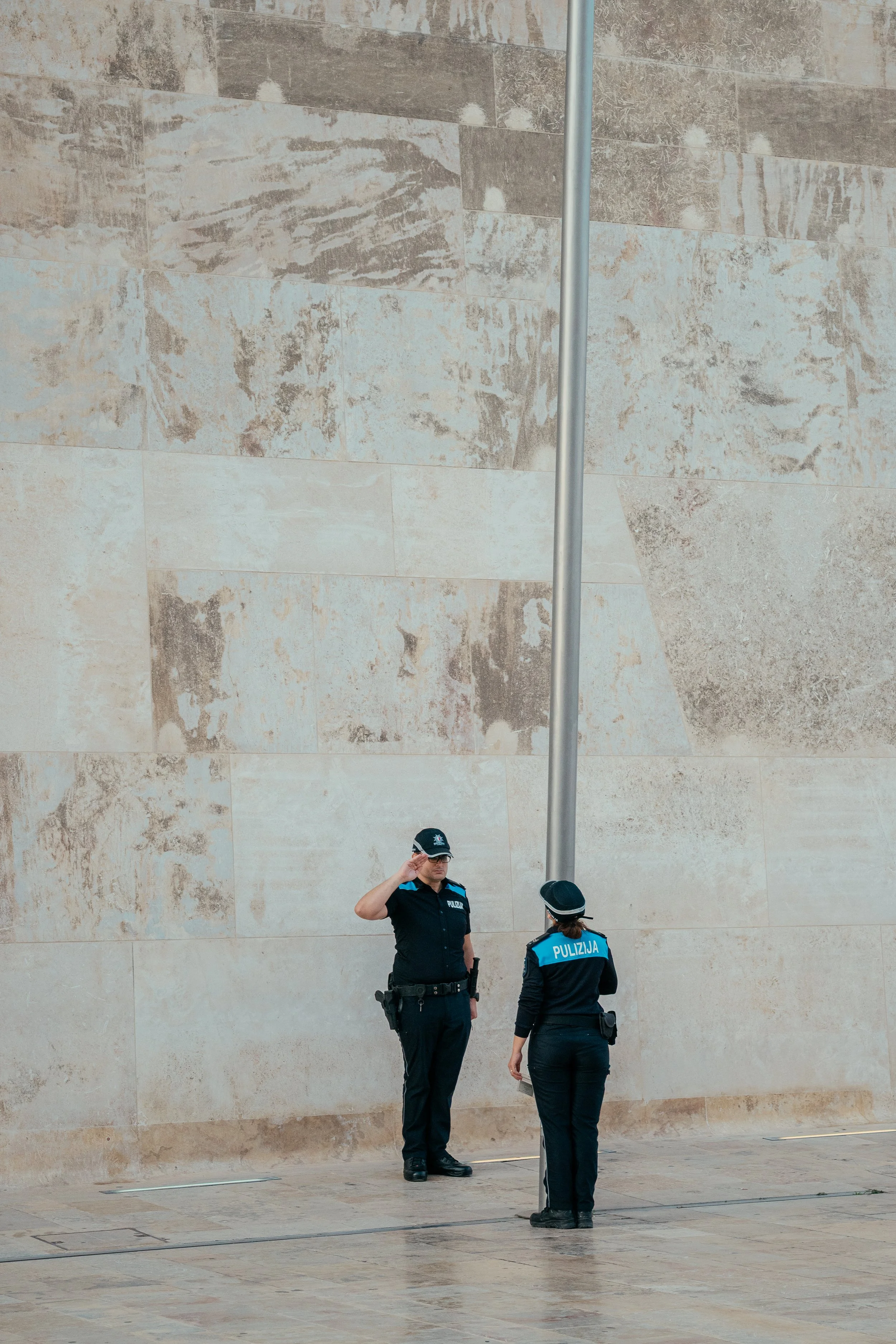 Raising the Flag Salute.jpeg