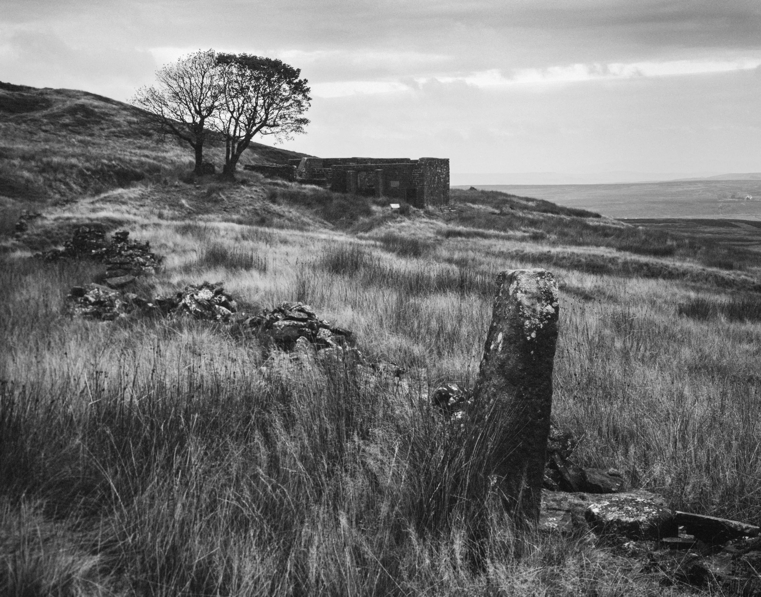 Out on the Wily, Windy Moors.jpeg