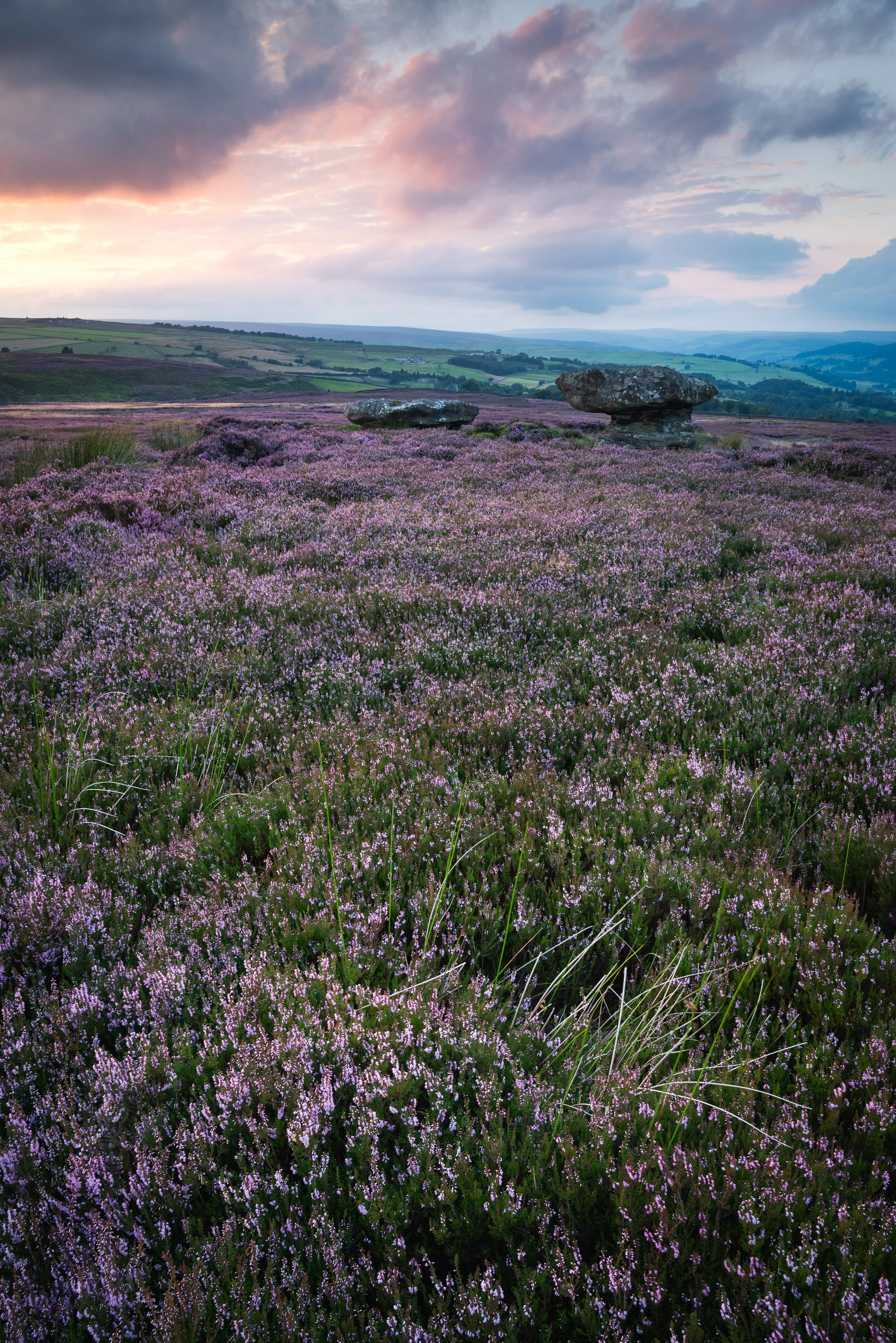 Nought Moor.jpg