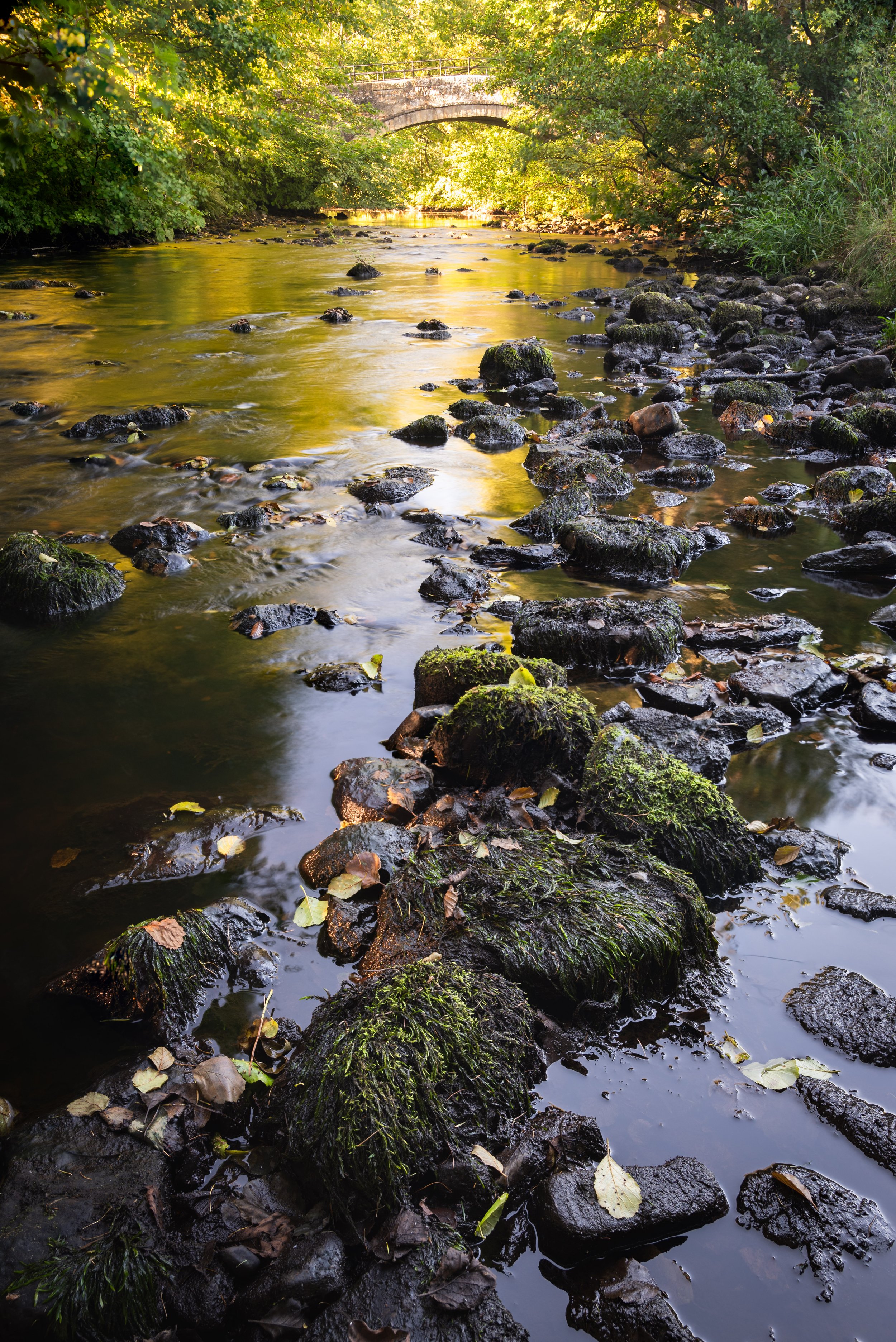 The River Nidd at Wath.jpg