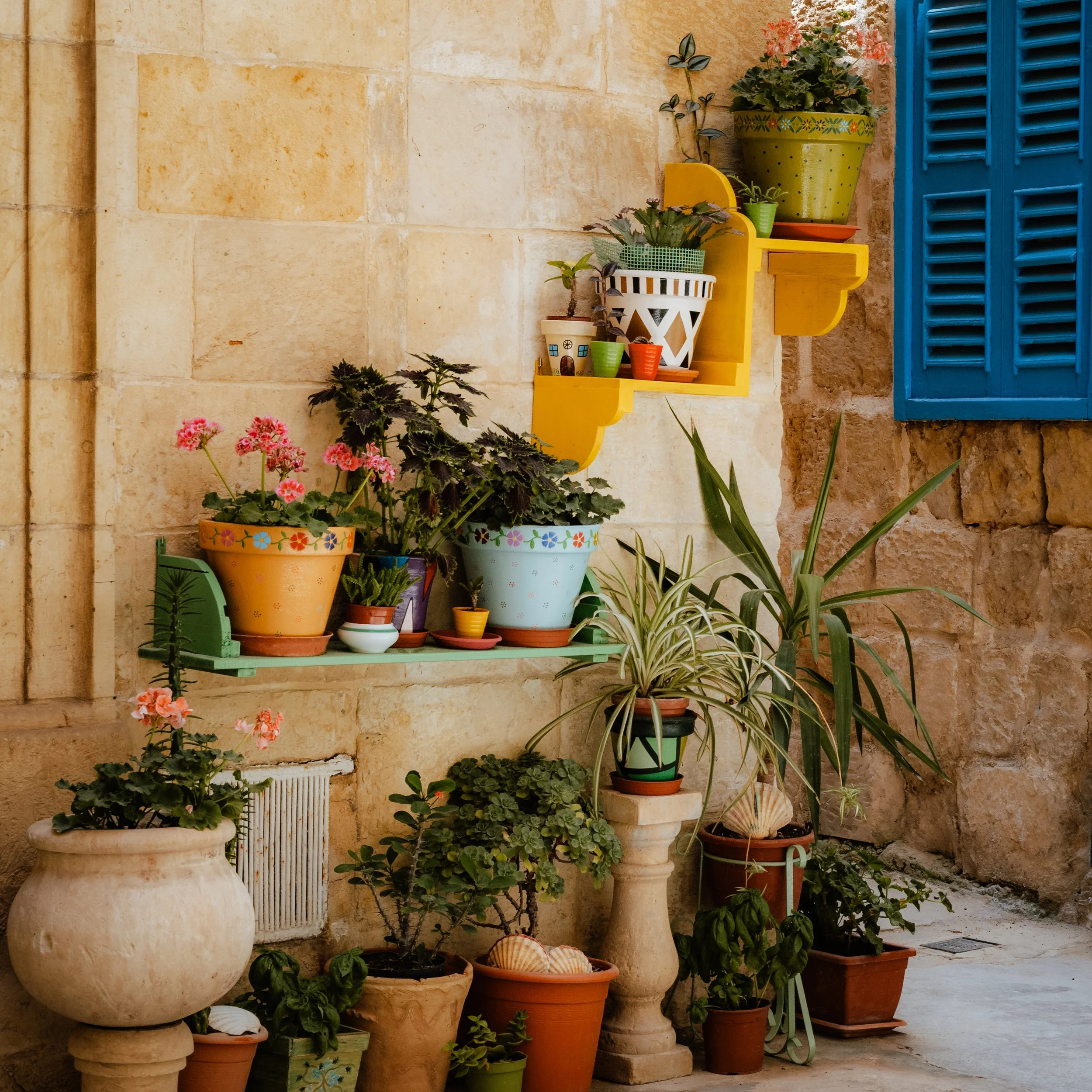 Flower Pots.jpg