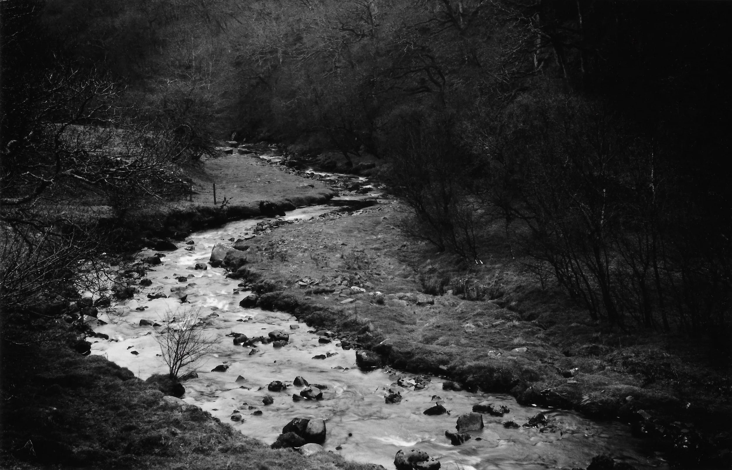 The River Nidd.jpeg