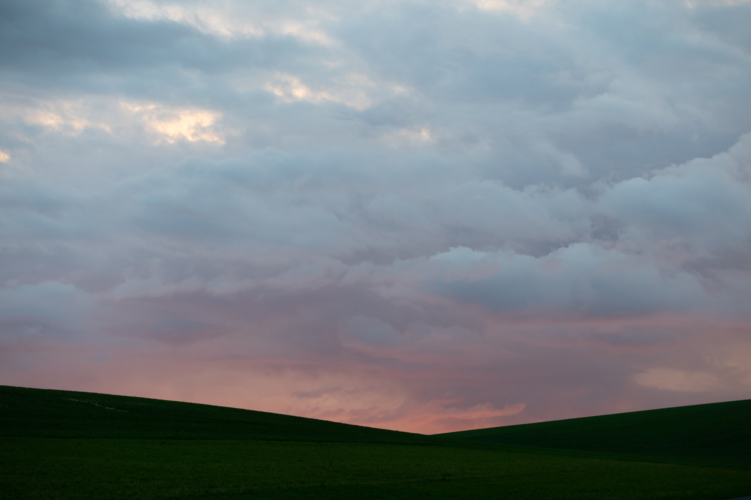 _I0A3572.jpg