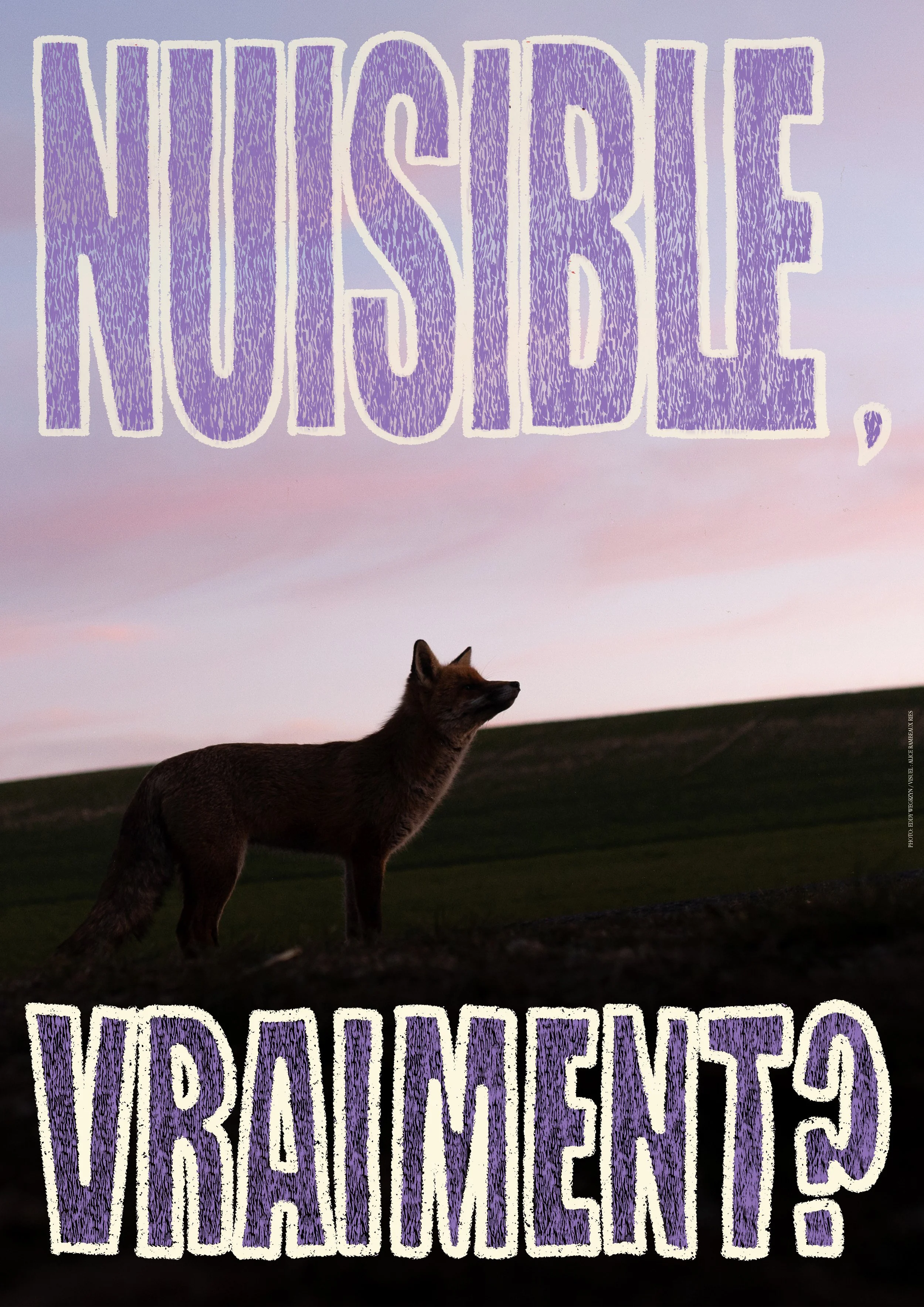 Renard Nuisible 6.jpg