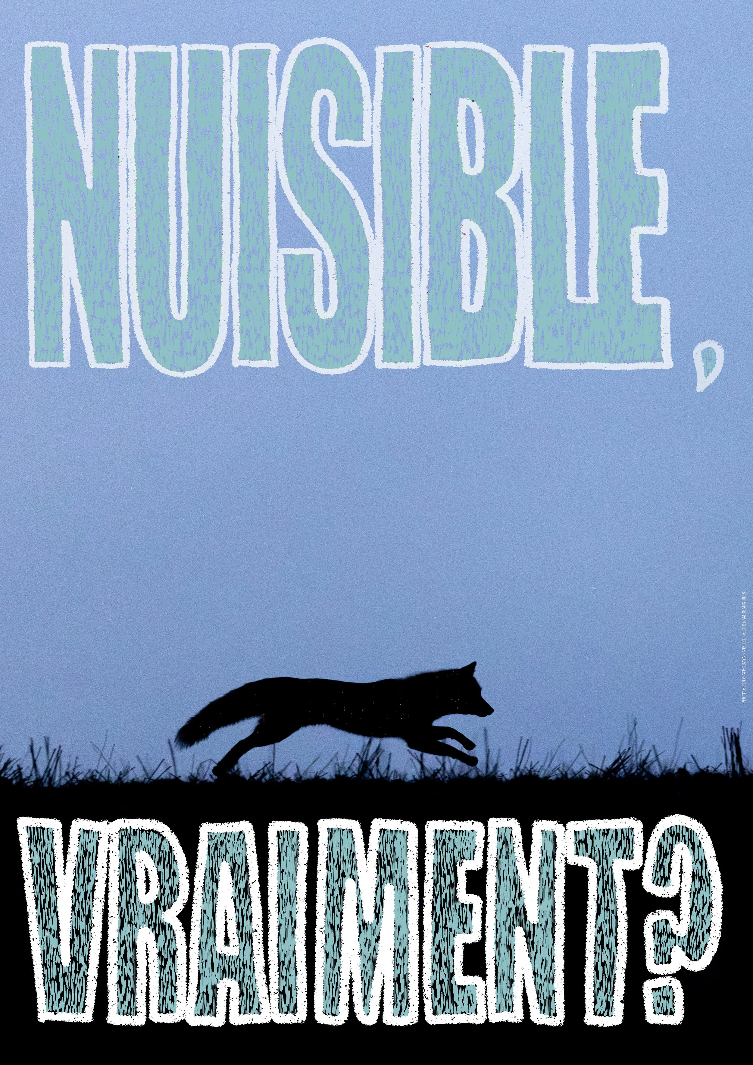 Renard Nuisible 2.jpg