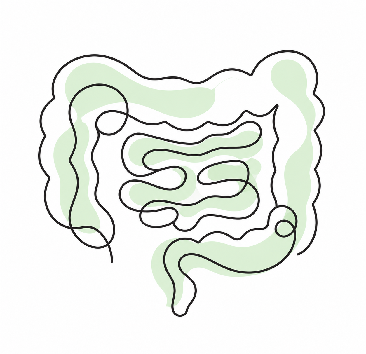Line drawing of a human digestive system with green shaded areas, illustrating the stomach, intestines, and other organs.