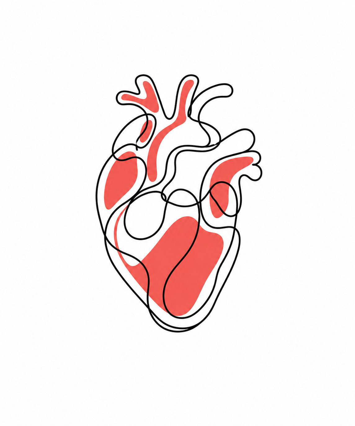 Line drawing of a human heart with highlighted red sections and black outlines on a white background.