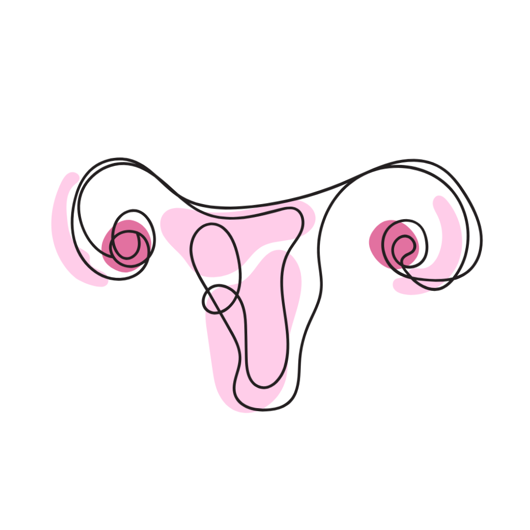Abstract illustration of a female reproductive system with pink highlights.