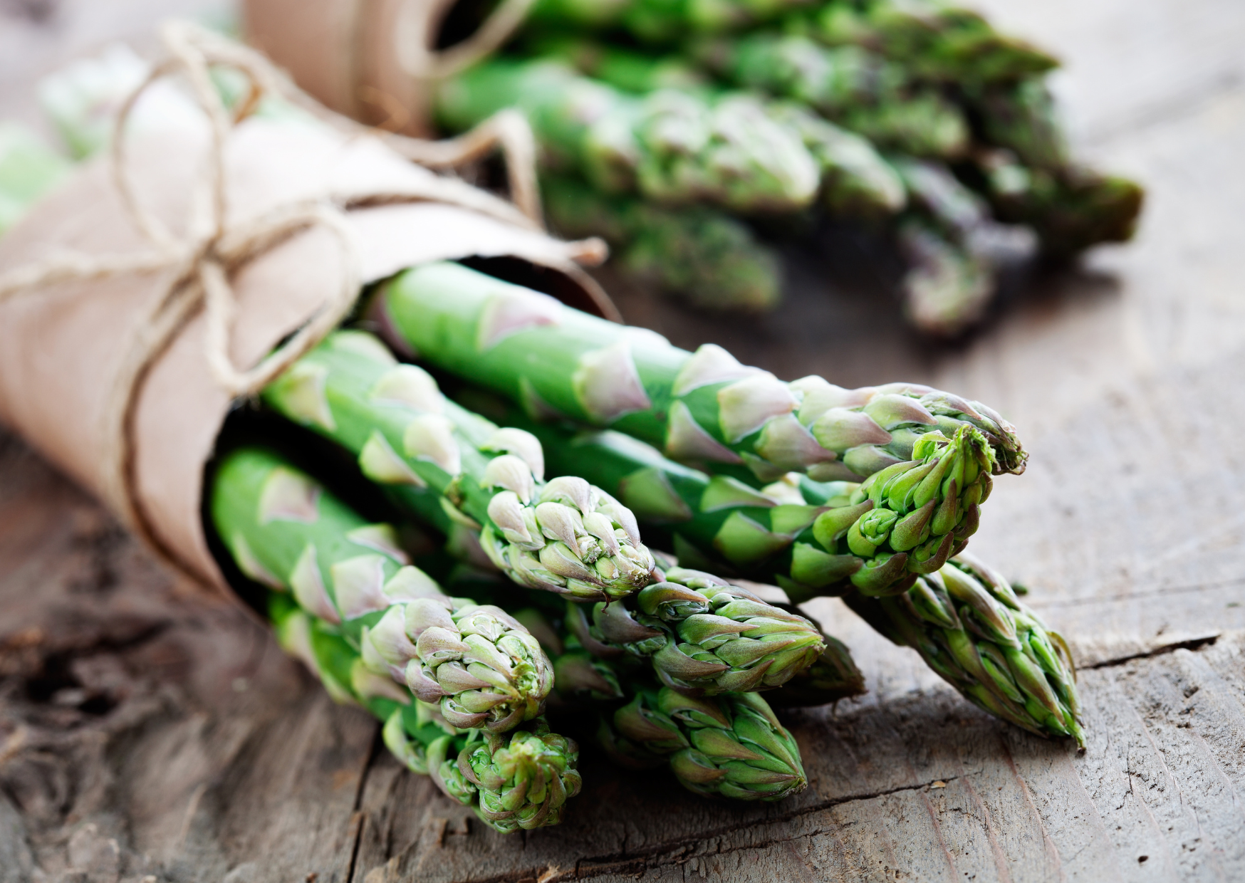 Prebiotic and Probiotic Foods: A Dynamic Duo for Gut Health