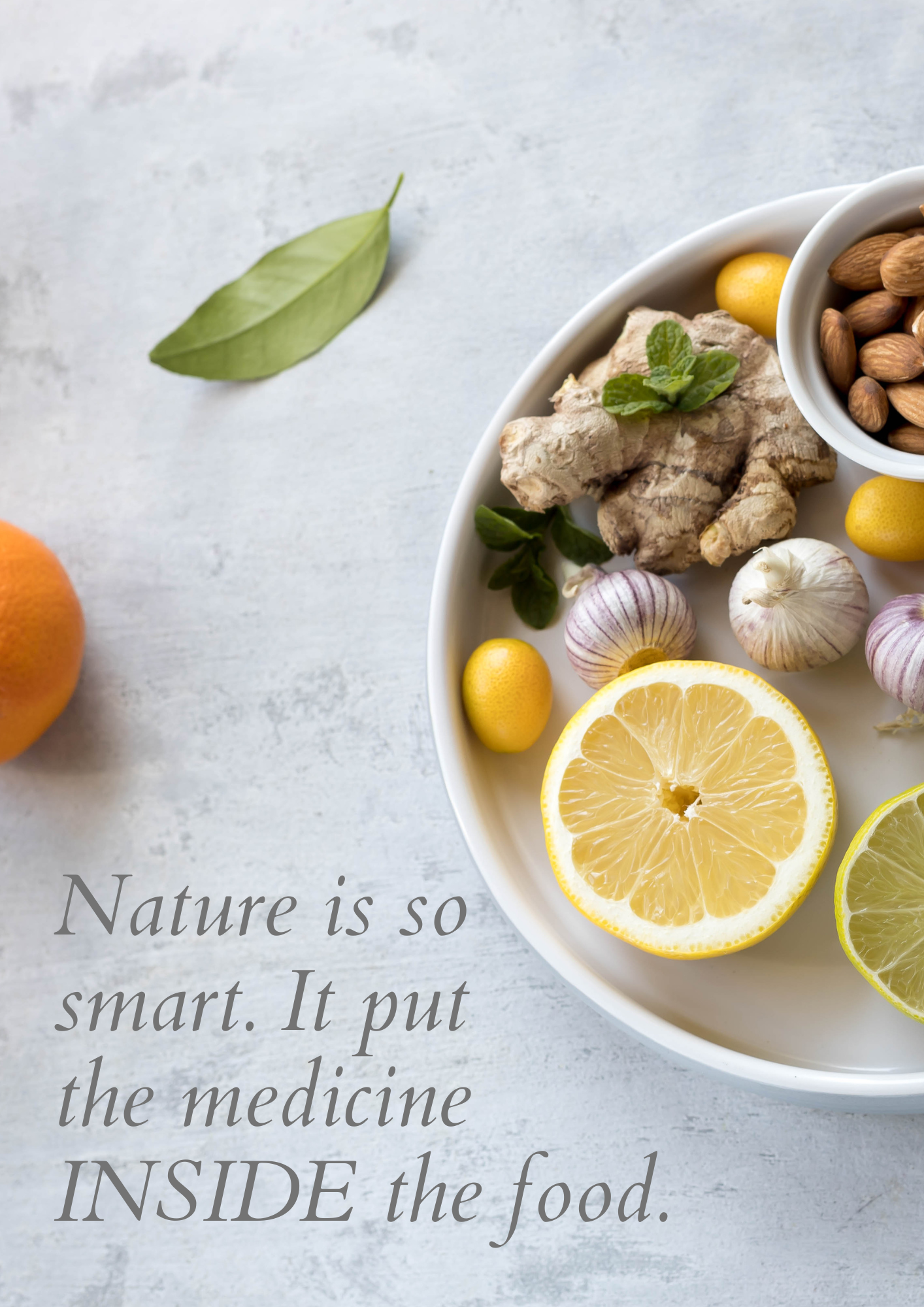 Immune Boosters Ebook