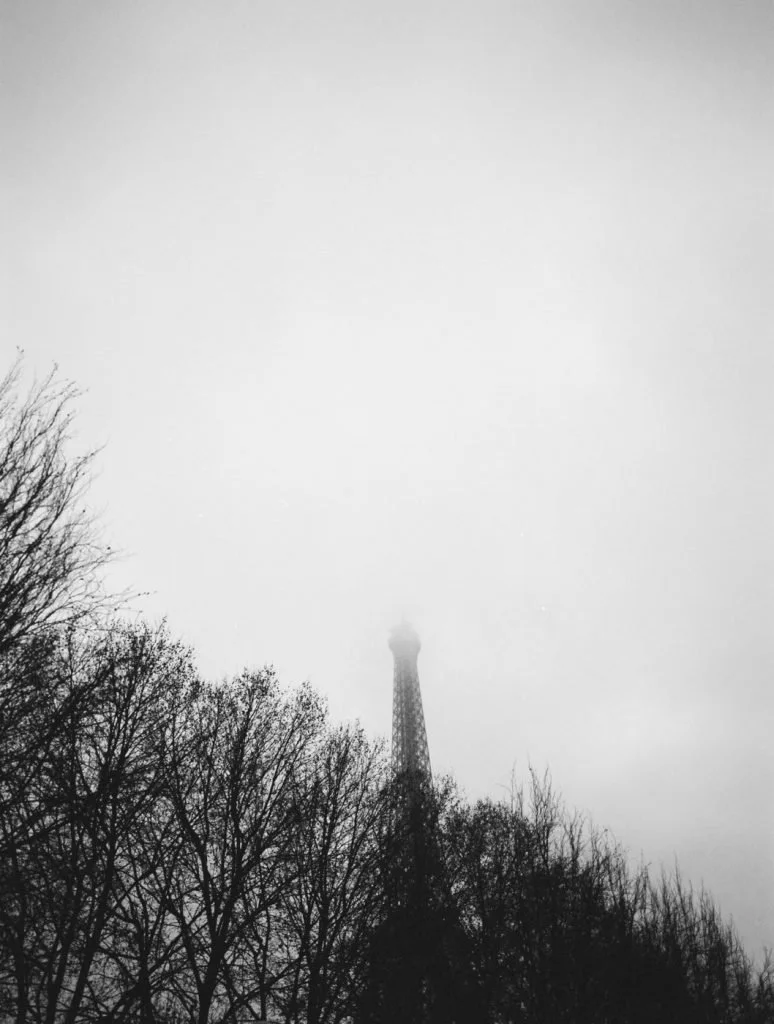 Black and white photo of the Eiffel Tower partially obscured by fog, with bare trees in the foreground.