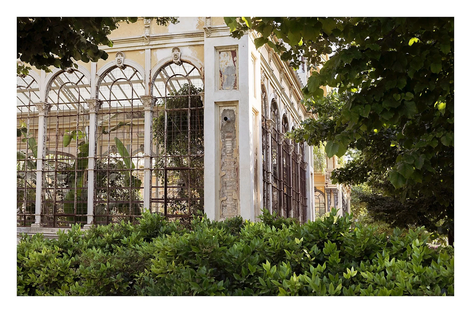 archie_Ciudadela_D9A4254.jpg