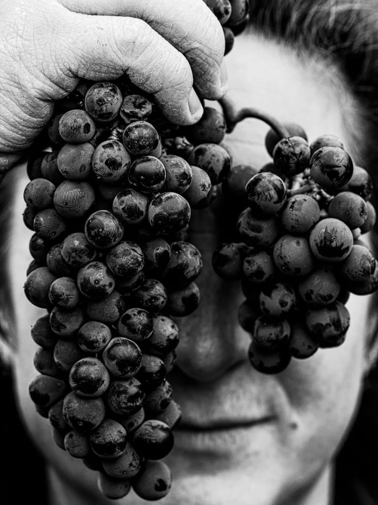 carames-priorat-web-13-768x1024.jpg