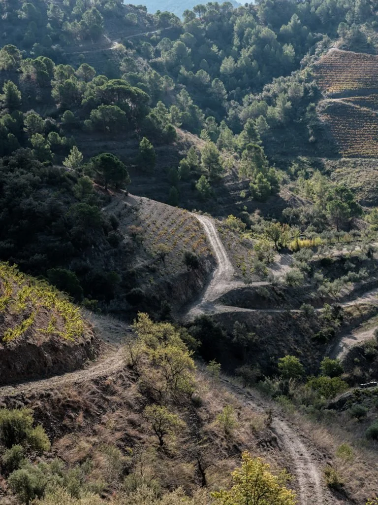 carames-priorat-web-17-768x1024.jpg