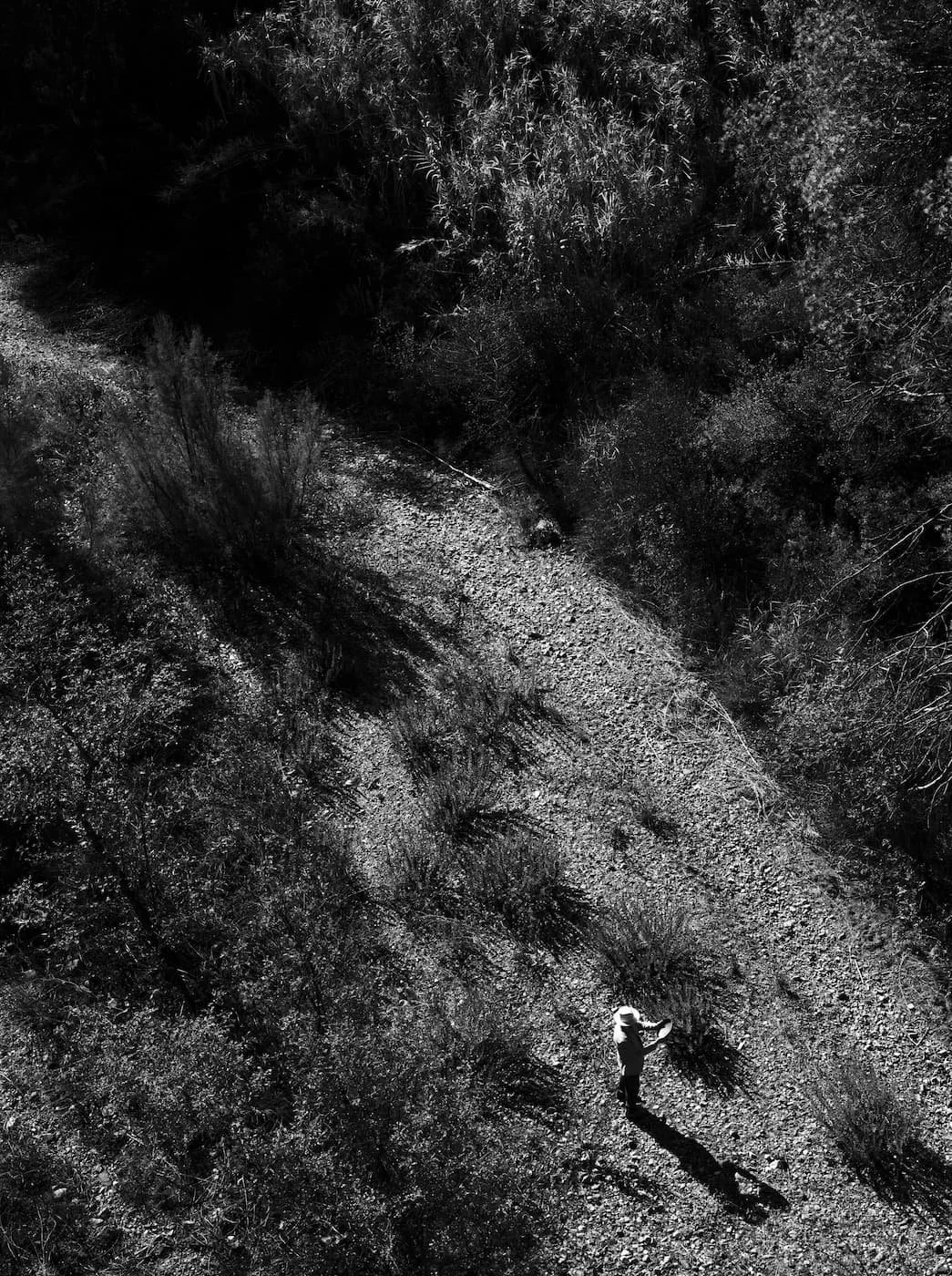 039_1455_CB2015_itemID_1455-001A_x1.jpg