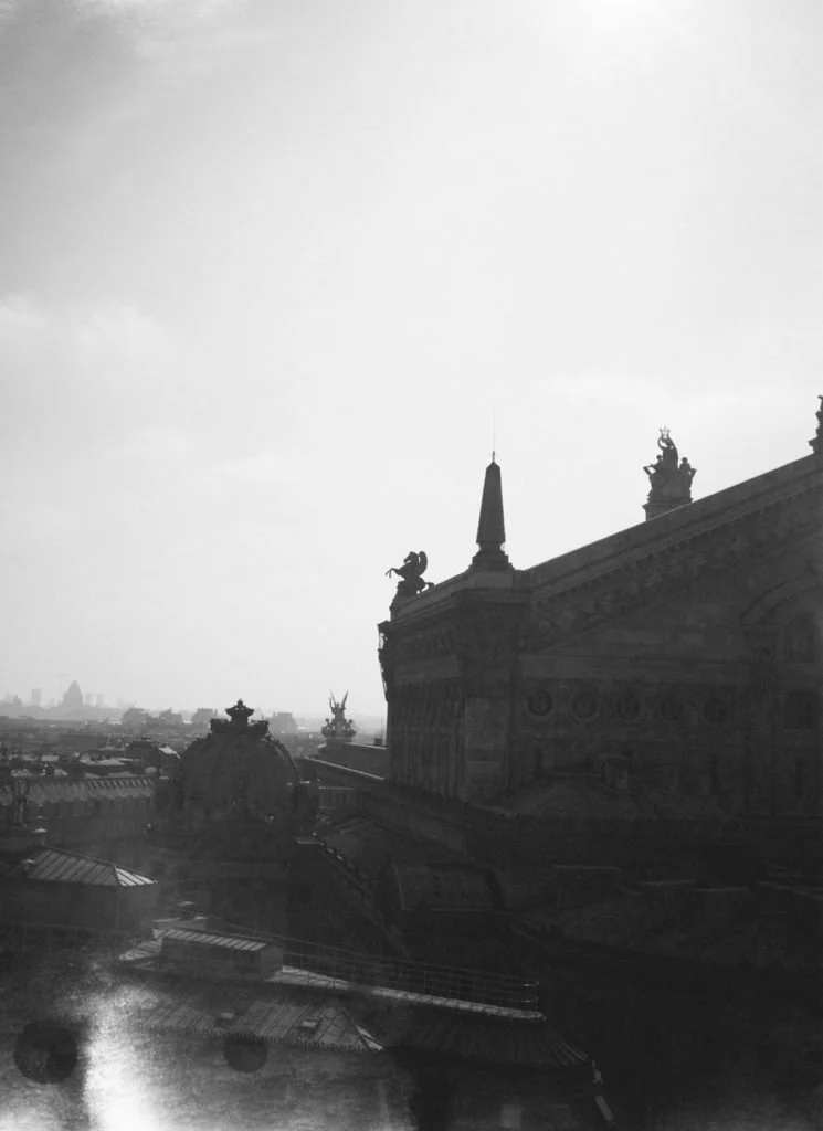 Black and white photograph of a cityscape featuring ornate rooftops and statues, with a distant skyline in the background.