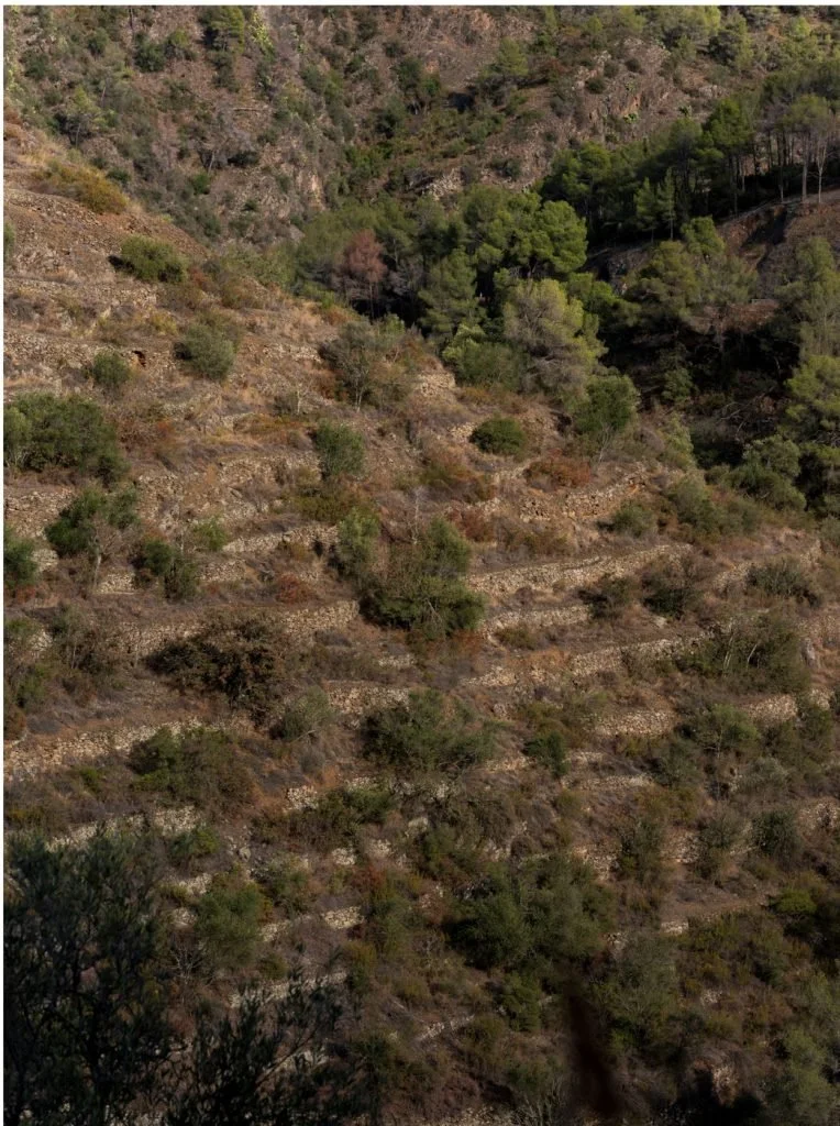 carames-priorat-web-62-764x1024.jpg