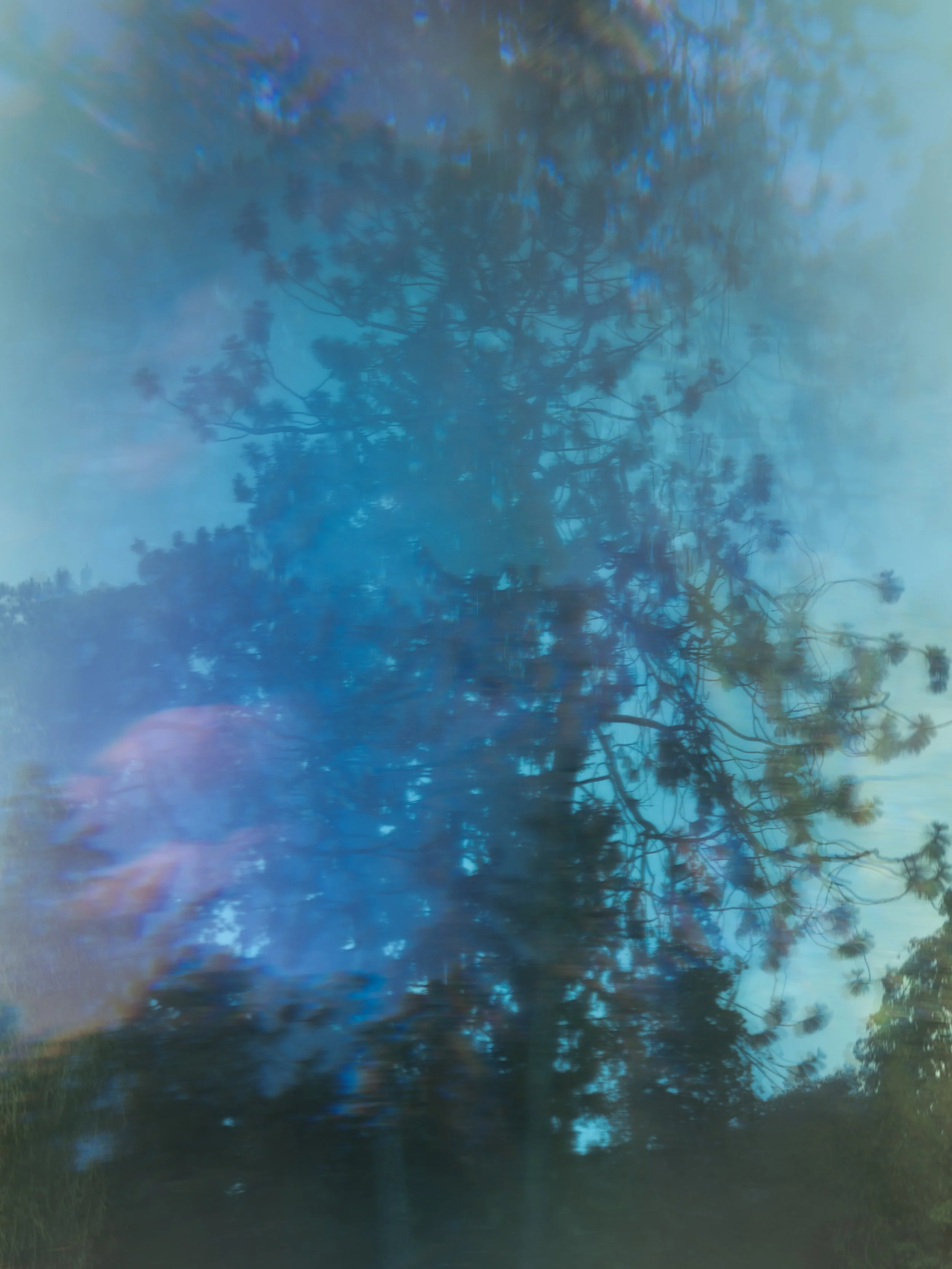 25-vertical_DSCF2442 copia.jpg