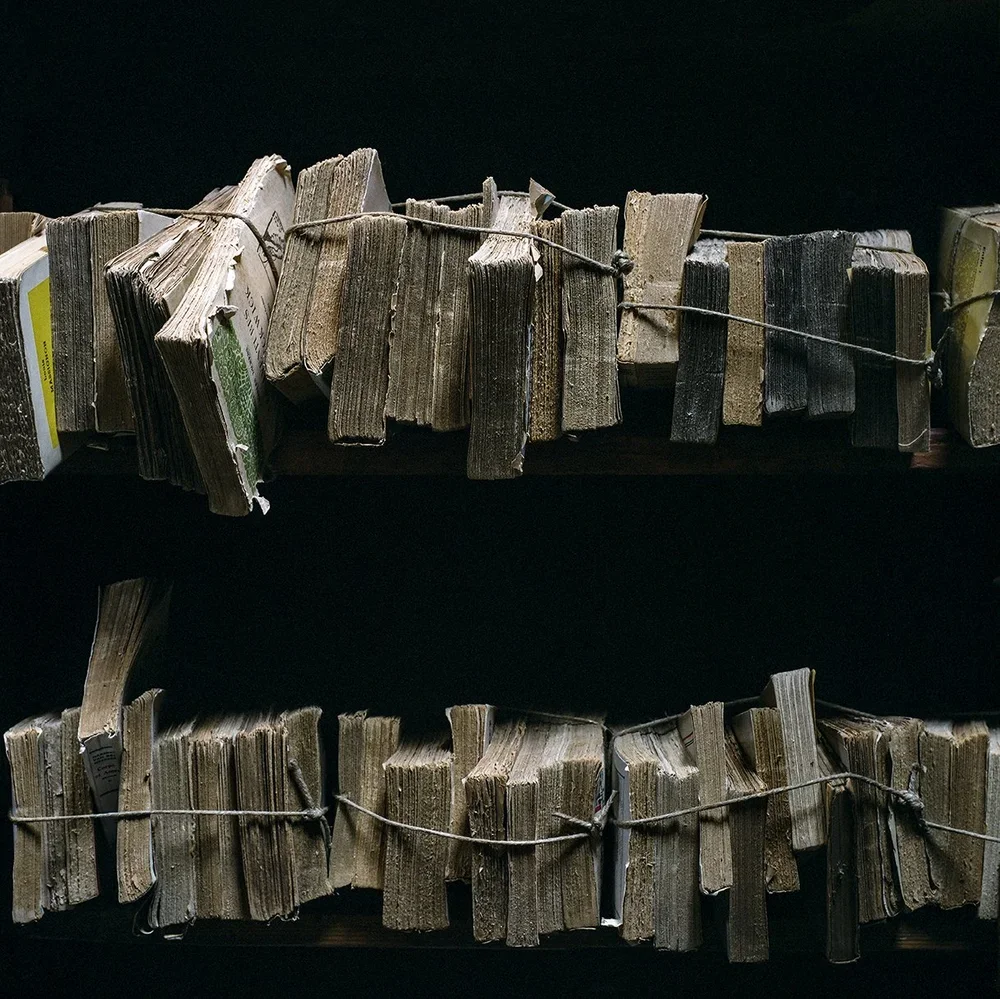 Los libros están vivos