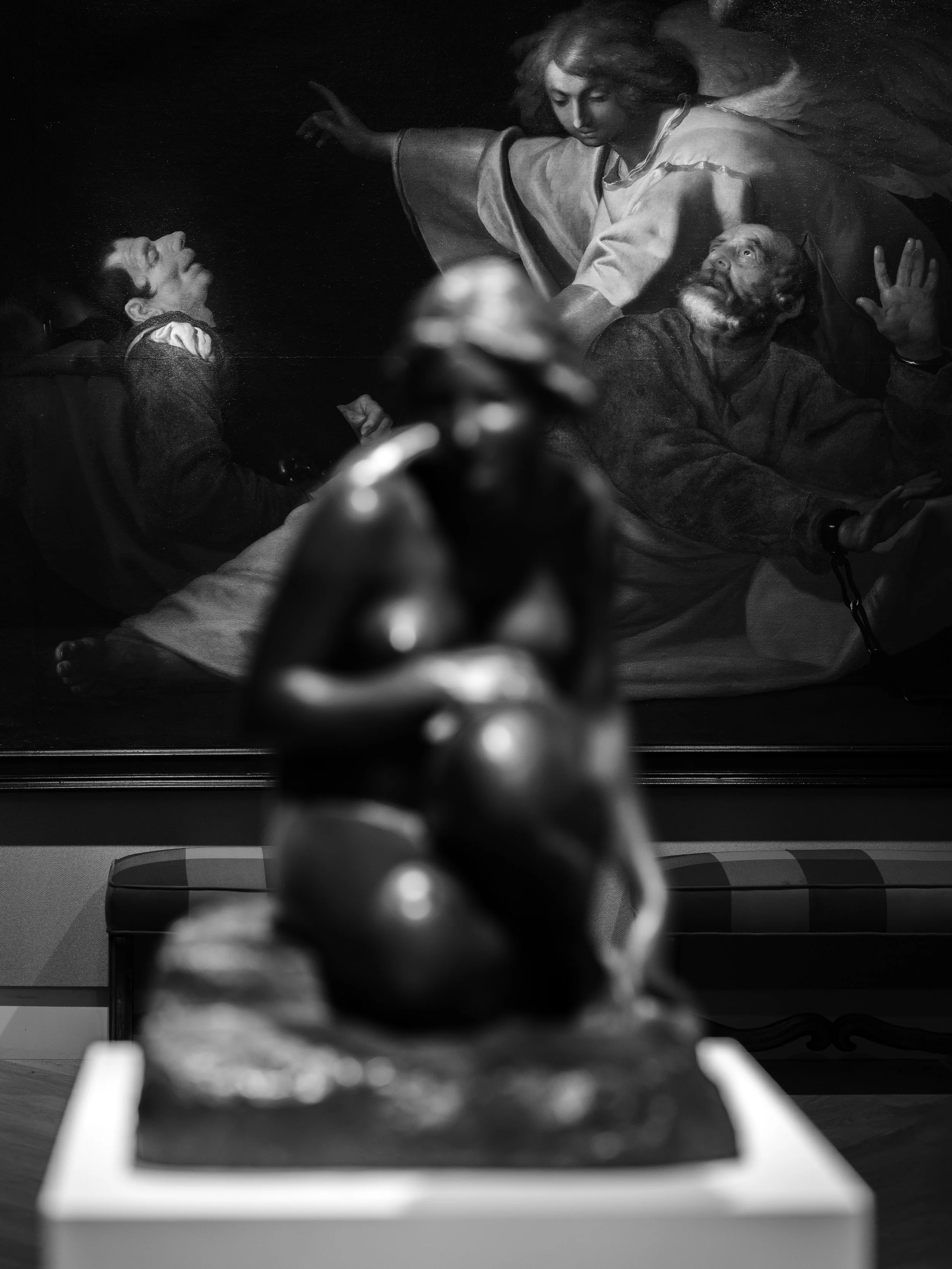 25-DSCF5935 copia.jpg