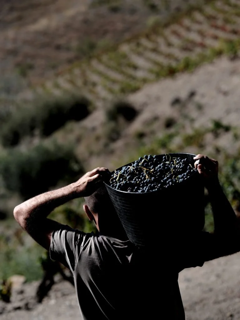 carames-priorat-web-18-768x1024.jpg