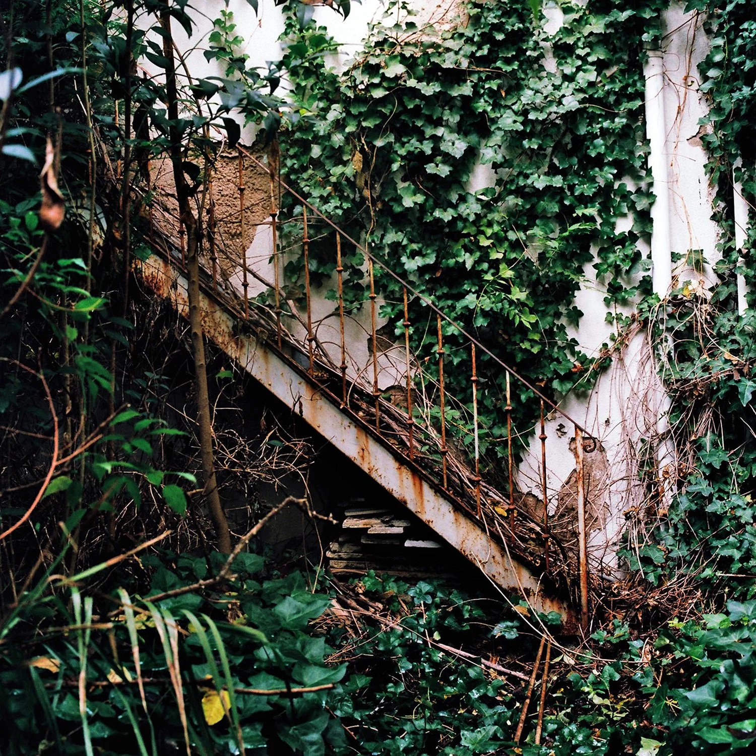 escalera palacio_spaces.jpg