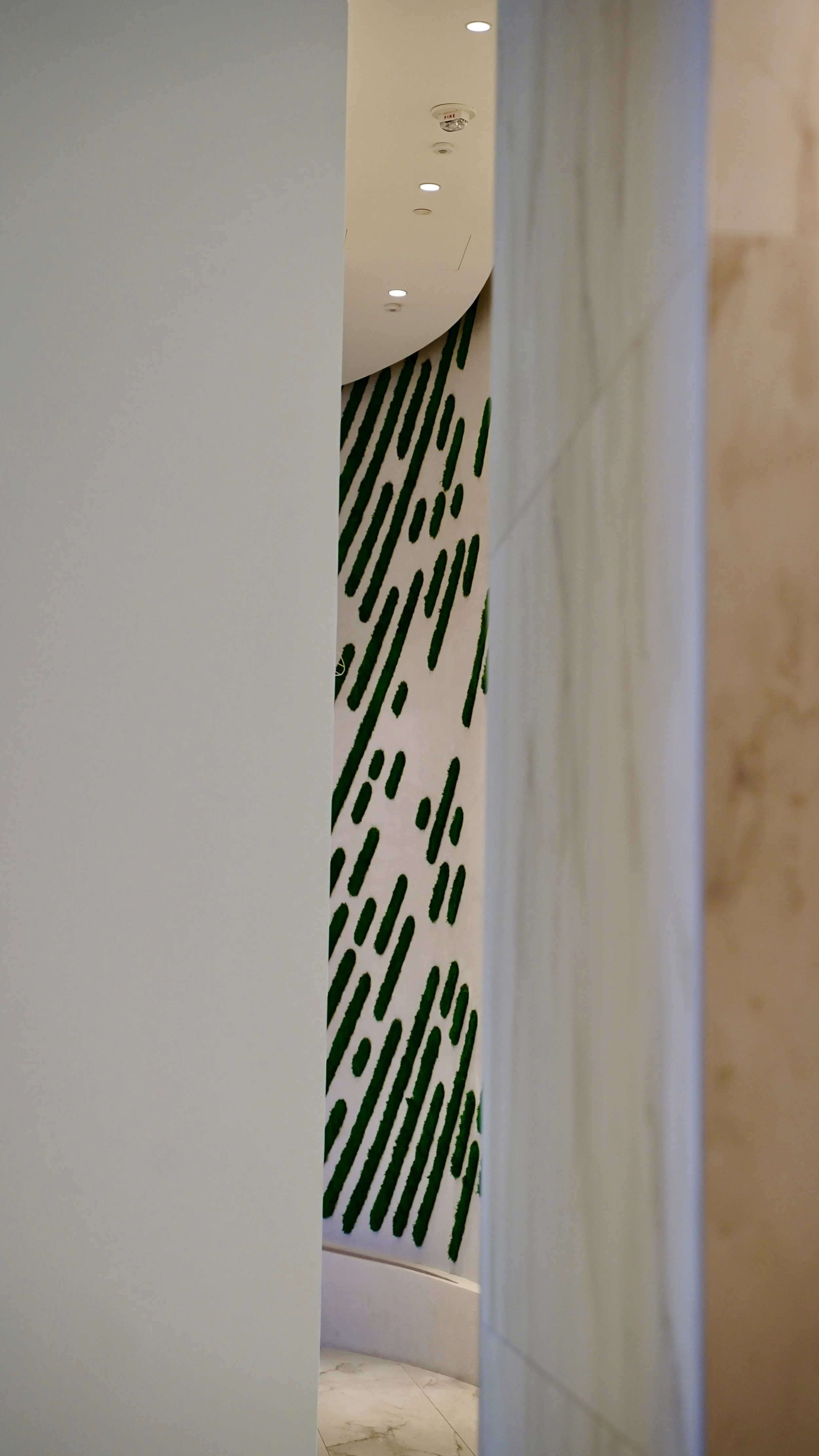 Photo 2025-10-04, 2 33 53 PM.jpg