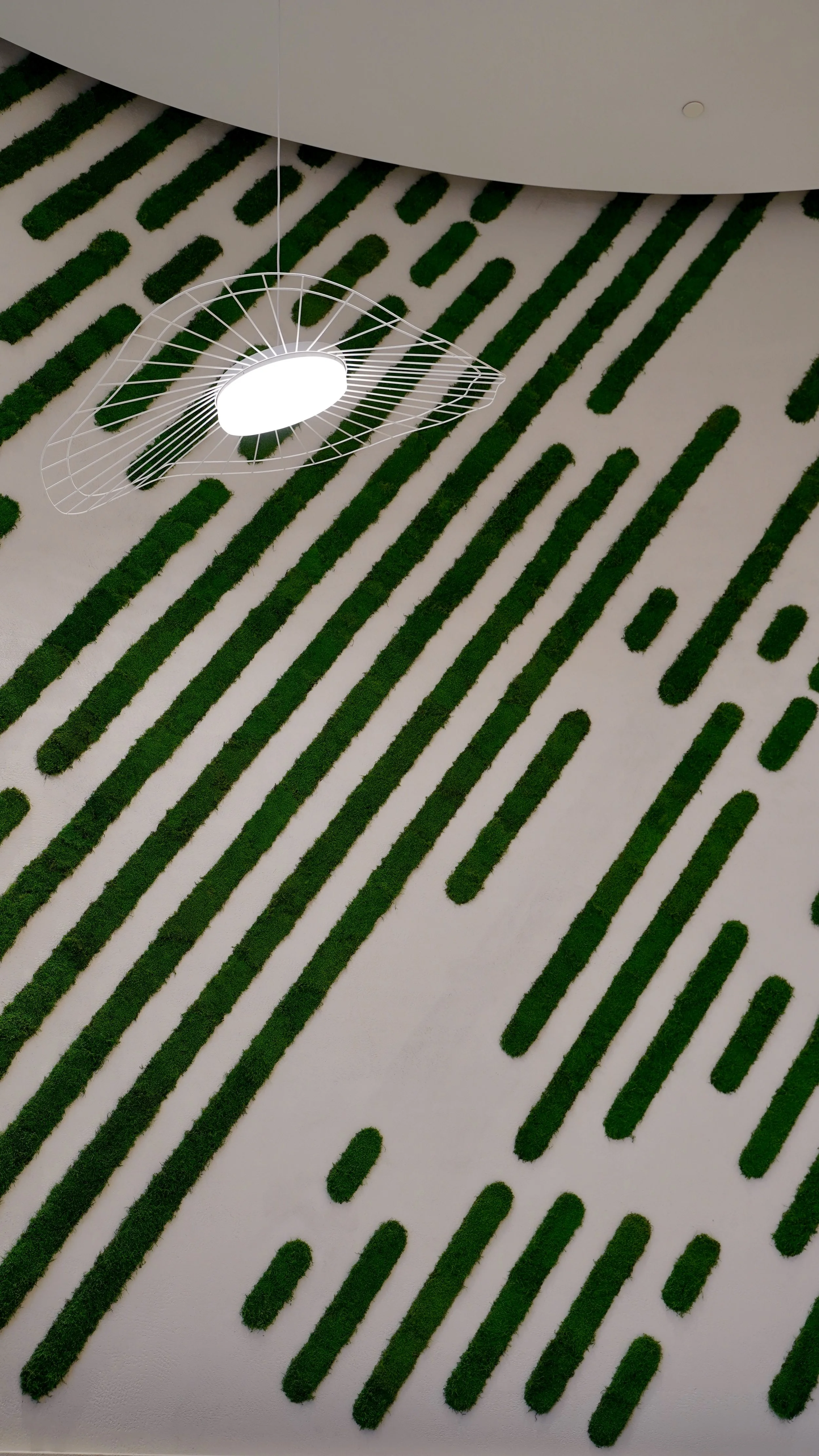 Photo 2025-10-04, 3 47 57 PM.jpg