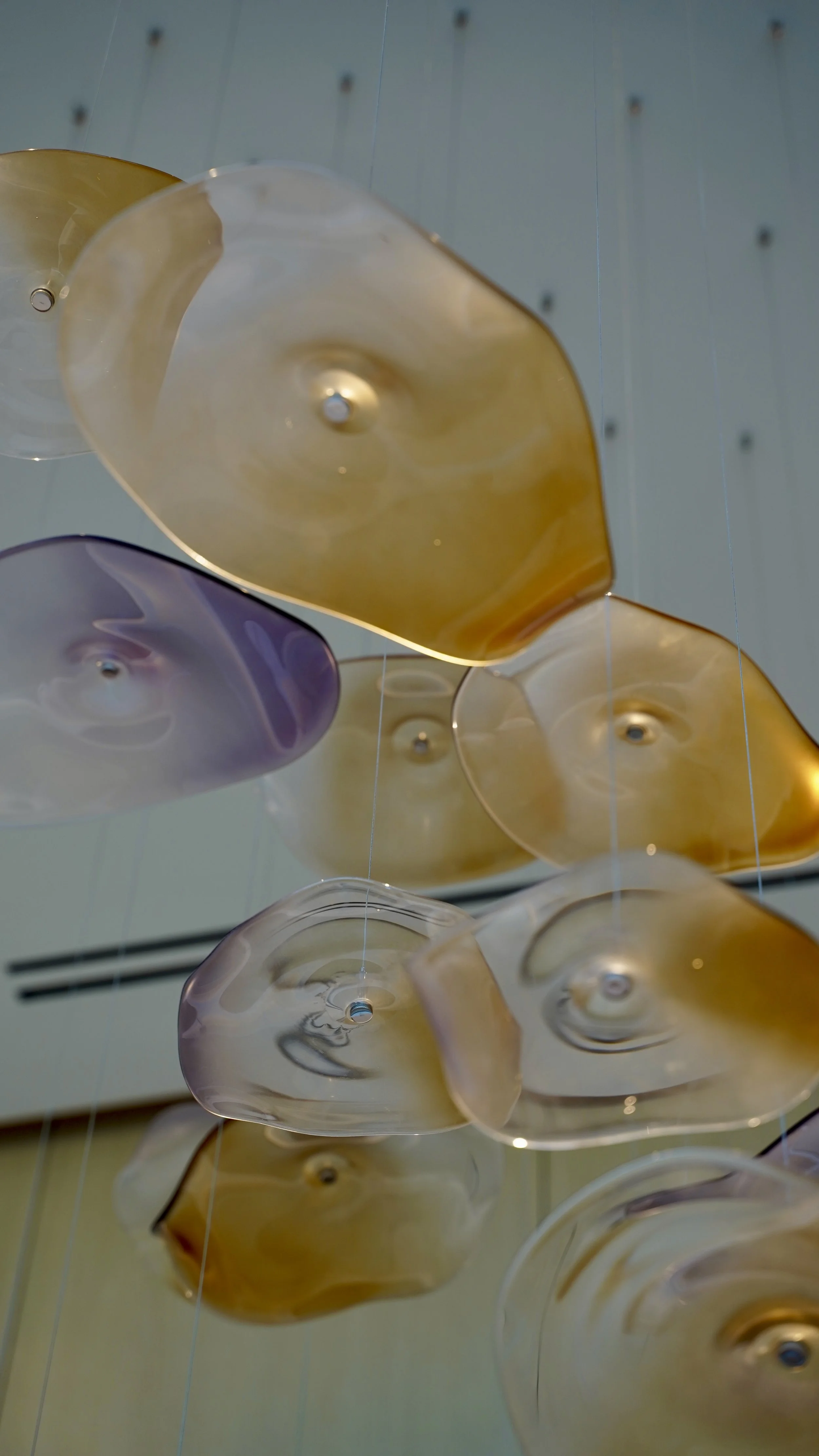 Photo 2025-10-04, 3 13 08 PM.jpg