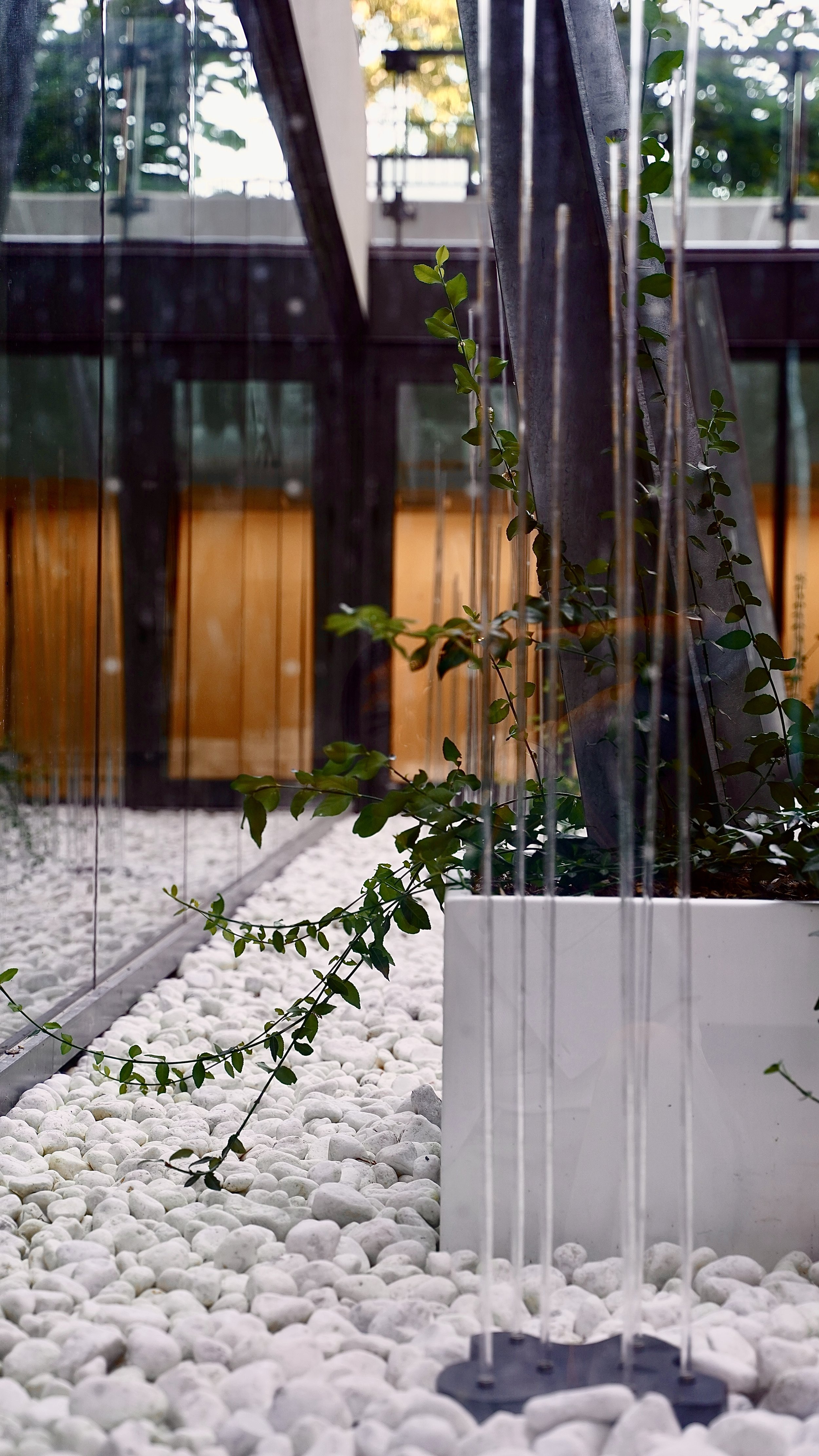 Photo 2025-10-04, 12 50 20 PM.jpg