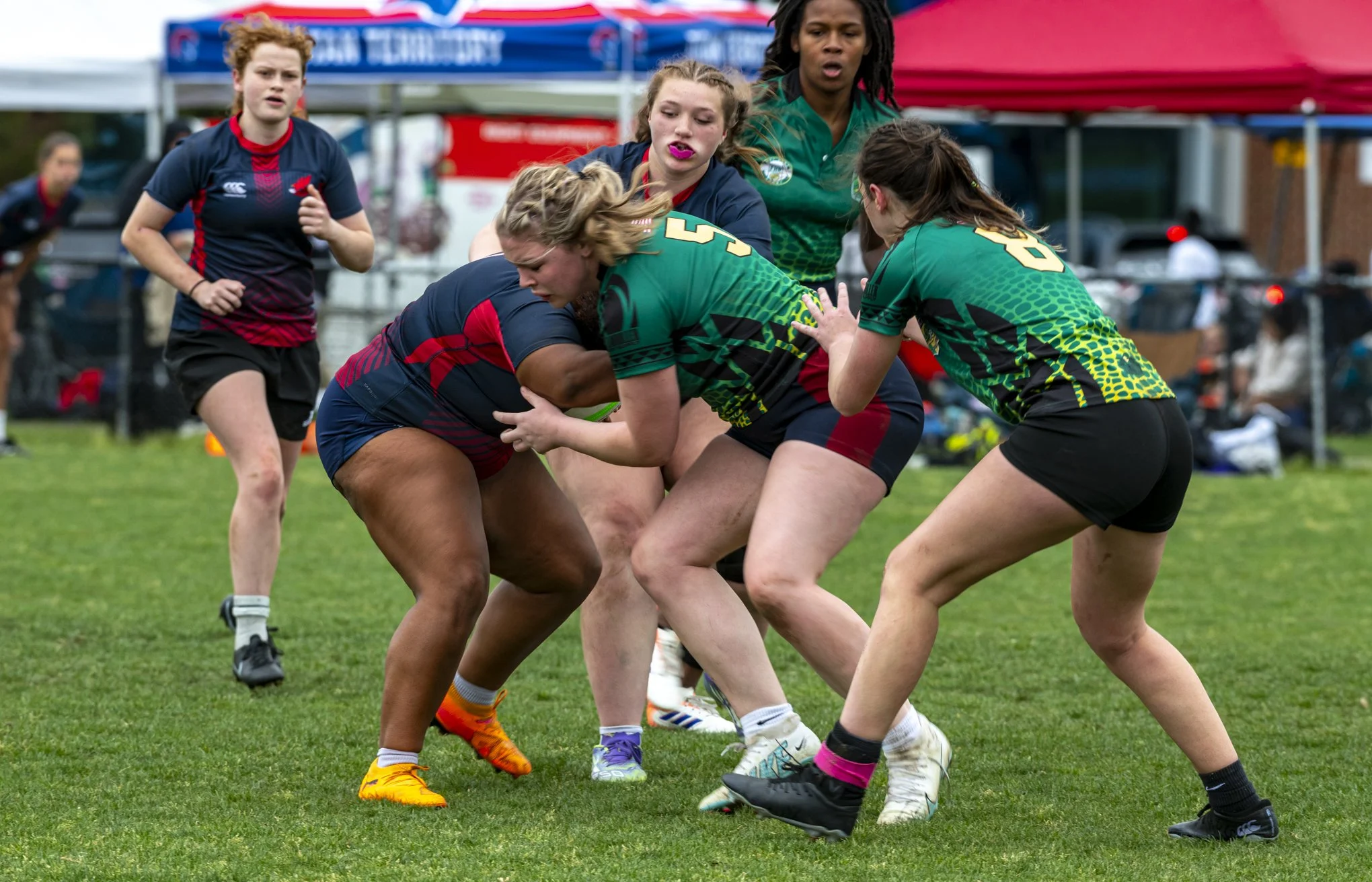 Vipers Rugby 04.26.26-1-4.jpg