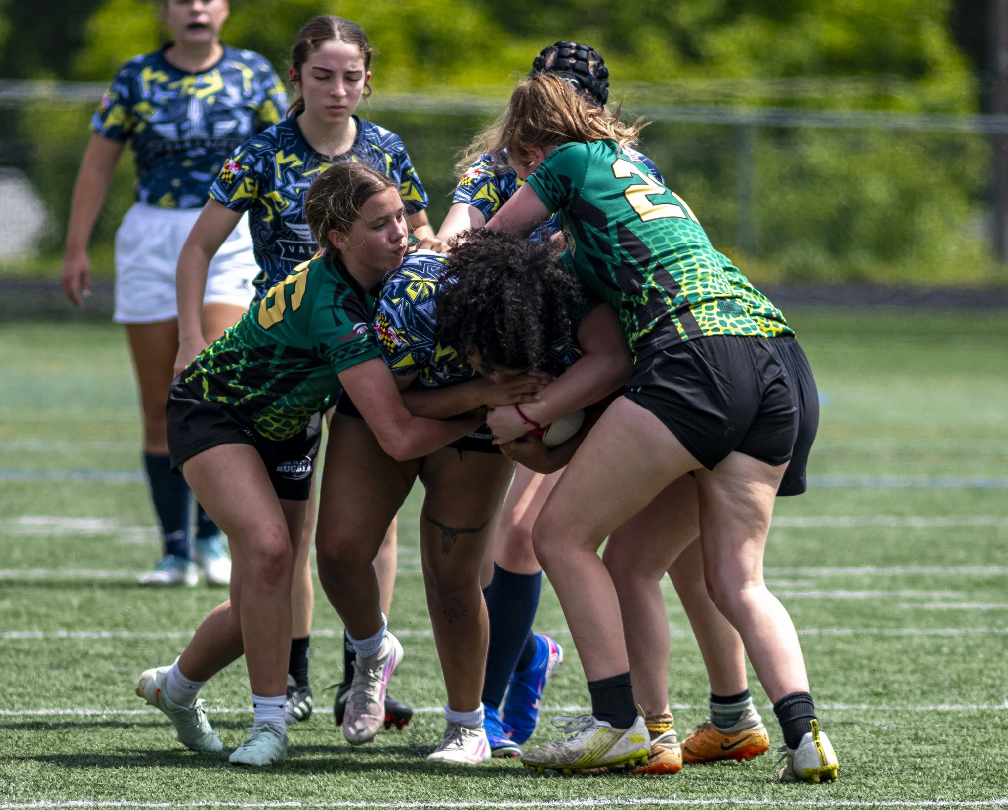 NOVA Vipers spring final 05.17.26-1-26.jpg