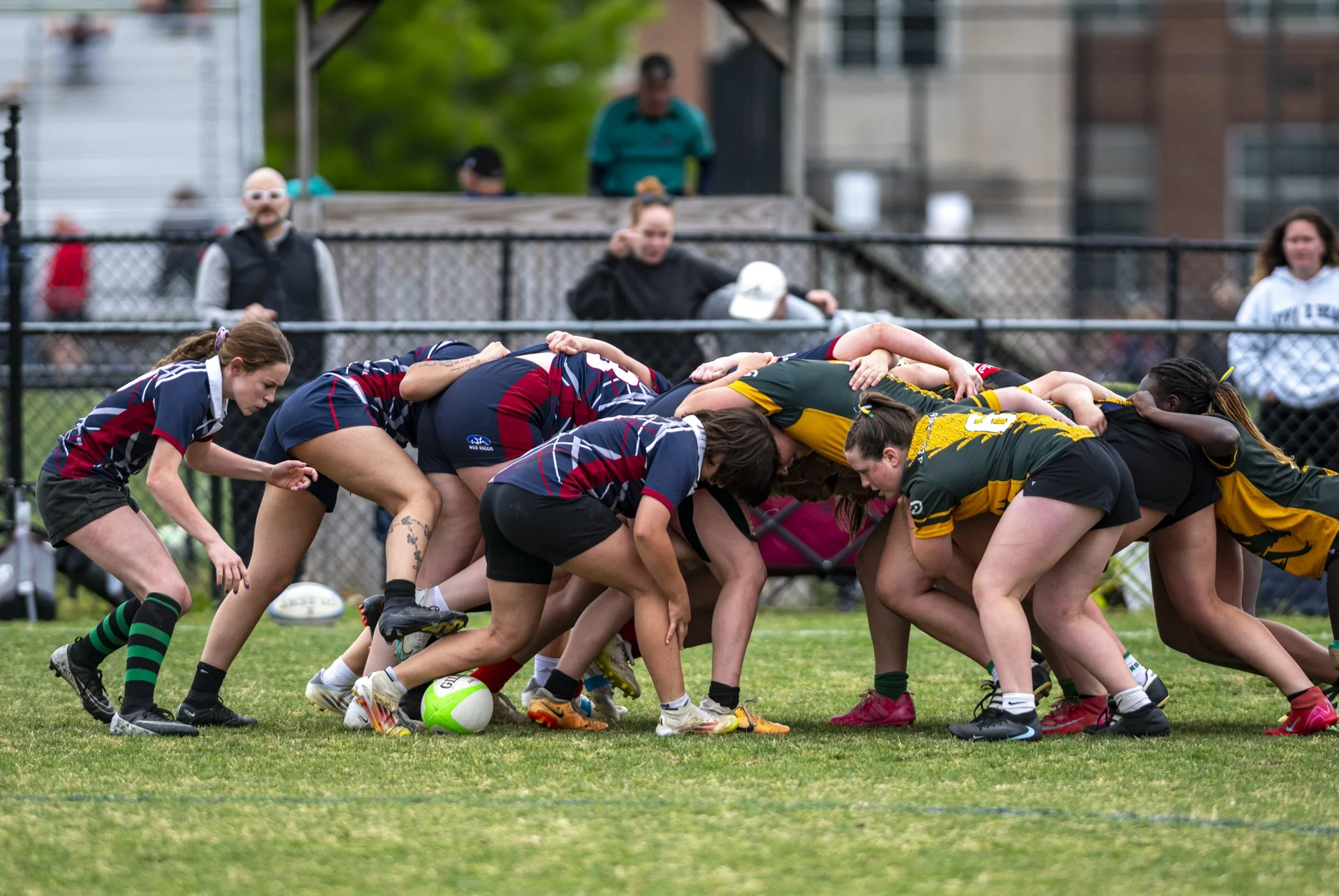 Vipers Rugby 04.26526-1-16.jpg