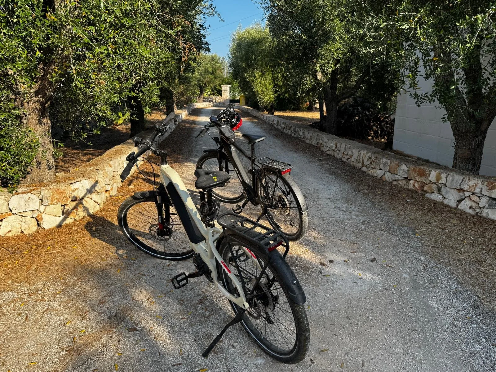E-bikes lined up ready to ride at Casa Amahoro