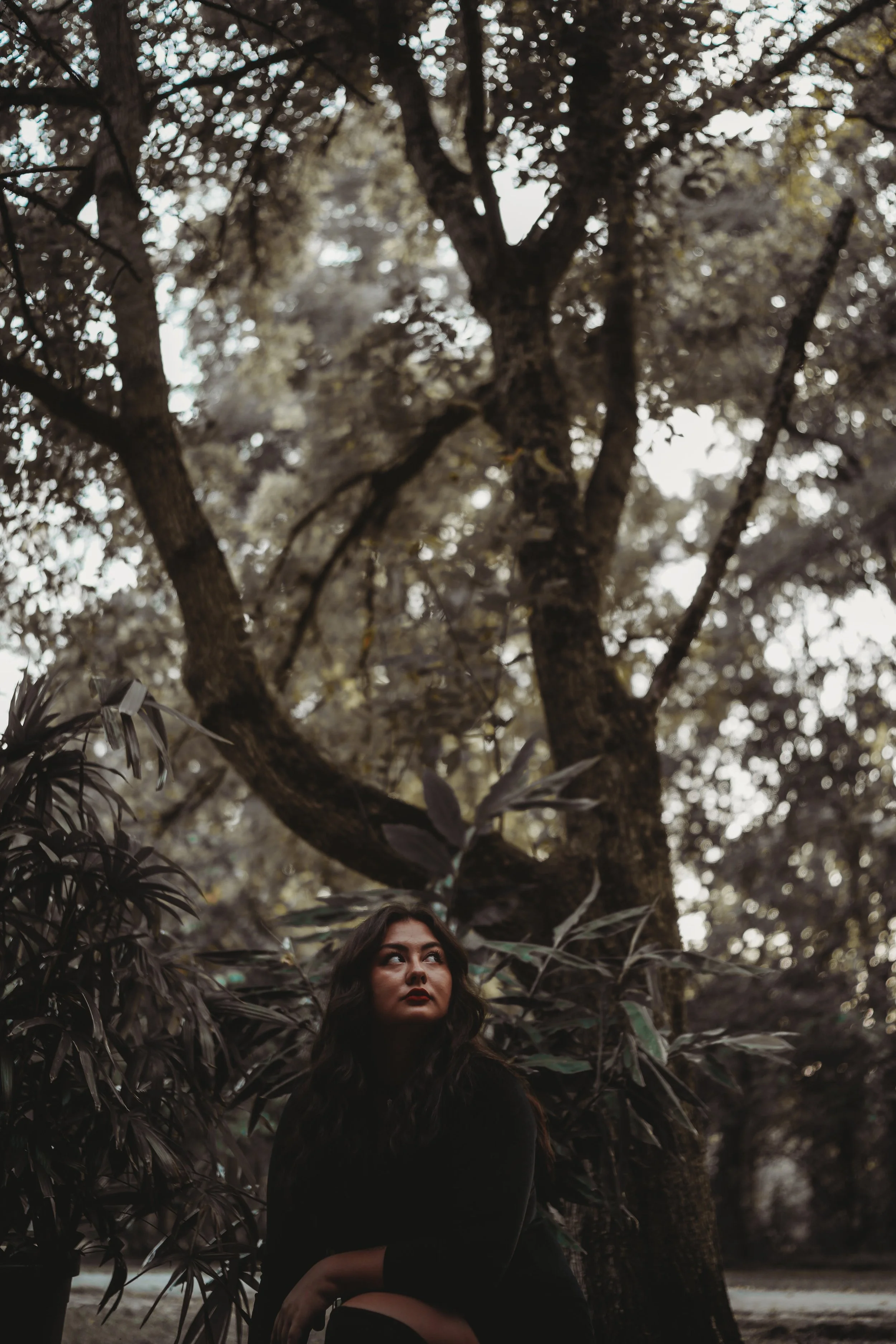A woman, agency owner Grace Kavanaugh, with long dark hair sitting in front of a large tree with sprawling branches in a shaded outdoor area surrounded by dark green foliage.