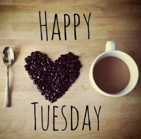 ☕️ Tuesday — Your silence is a tool