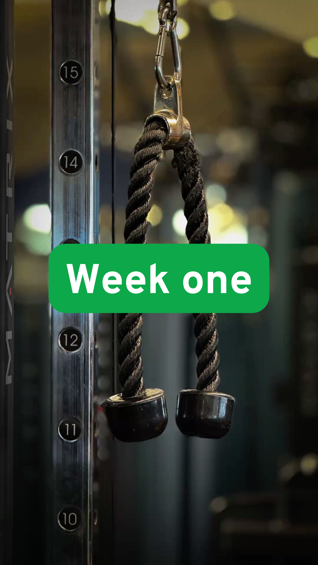 Week One: Showing Up Anyway