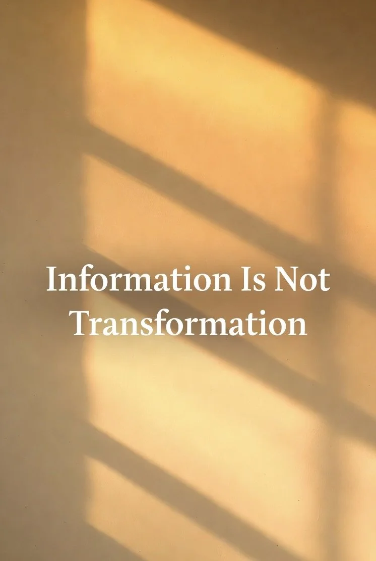 Information Is Not Transformation