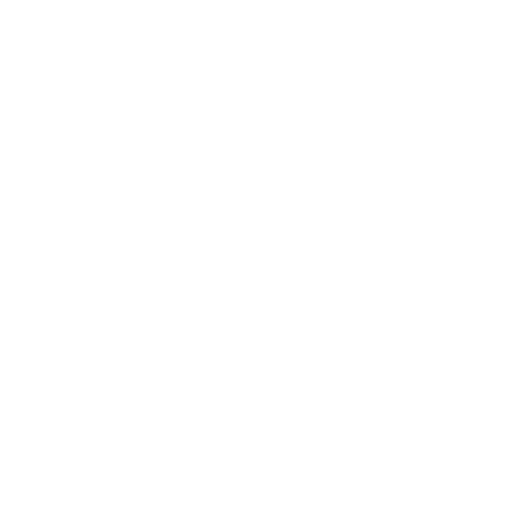 The-Big-Day-Out.png