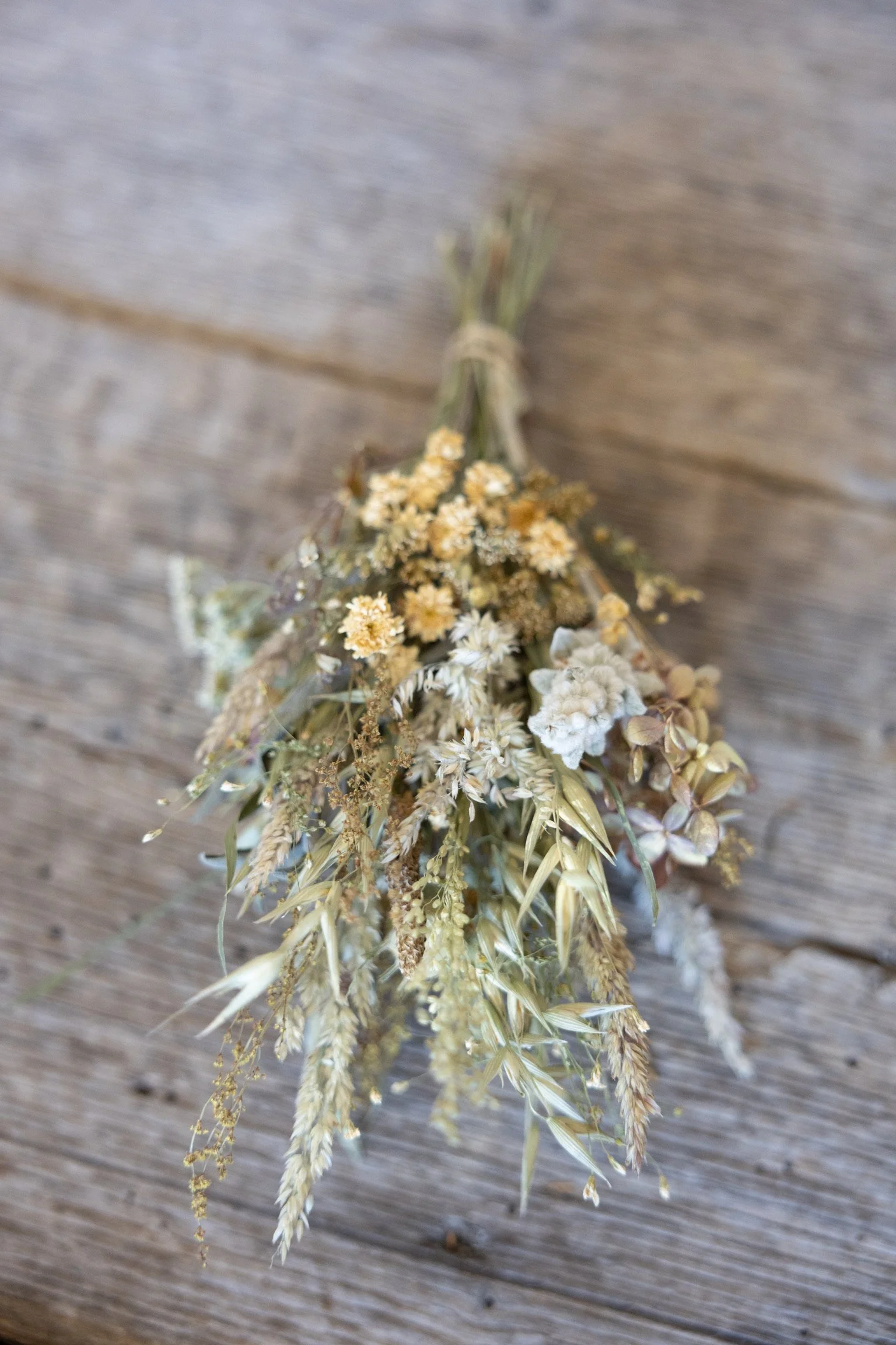 3599293F-2550-4088-B832-6CA0261FCE03 copy.jpg