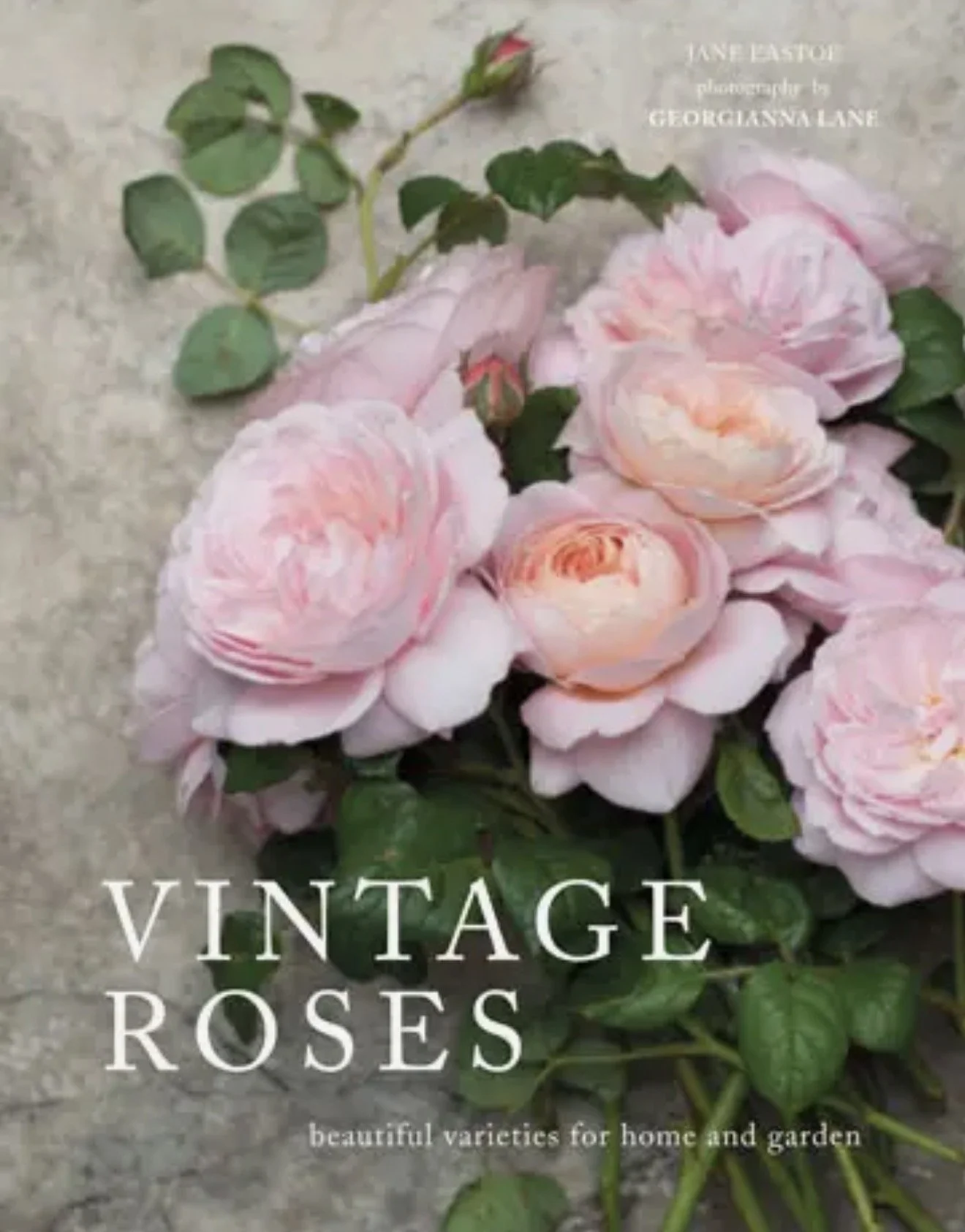 Vintage Roses Book
